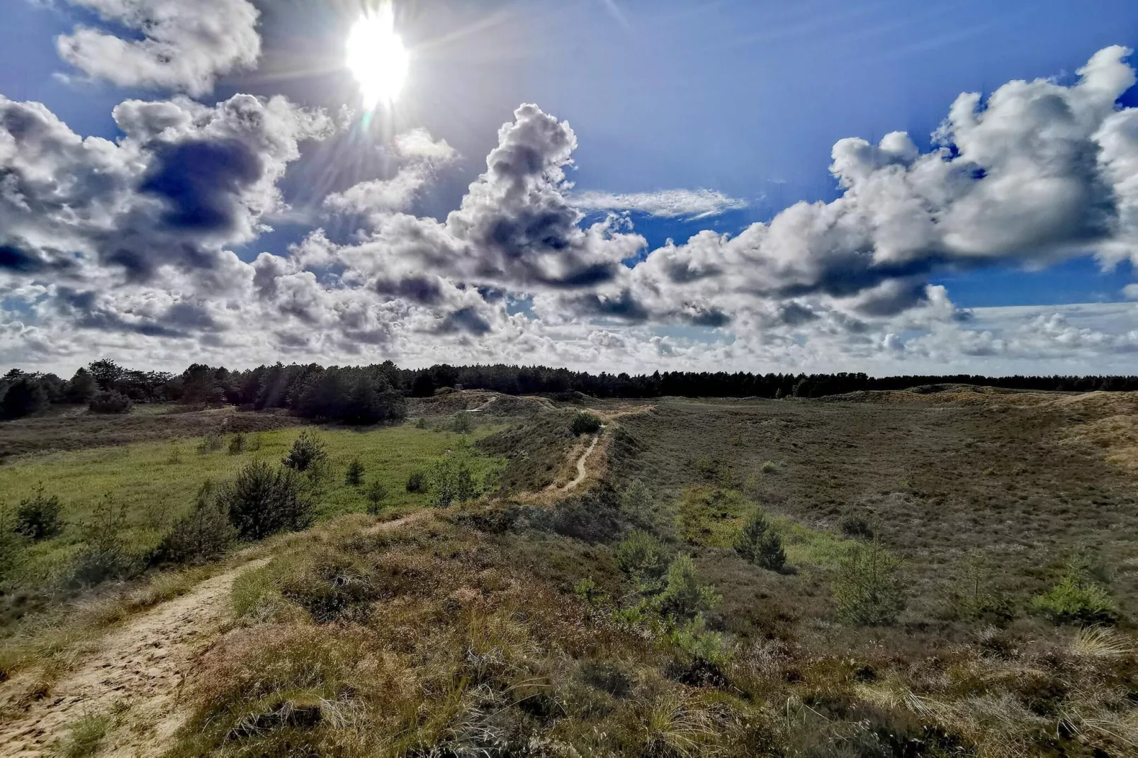 6 persoons vakantie huis in Rømø-By Traum-Niet-getagd