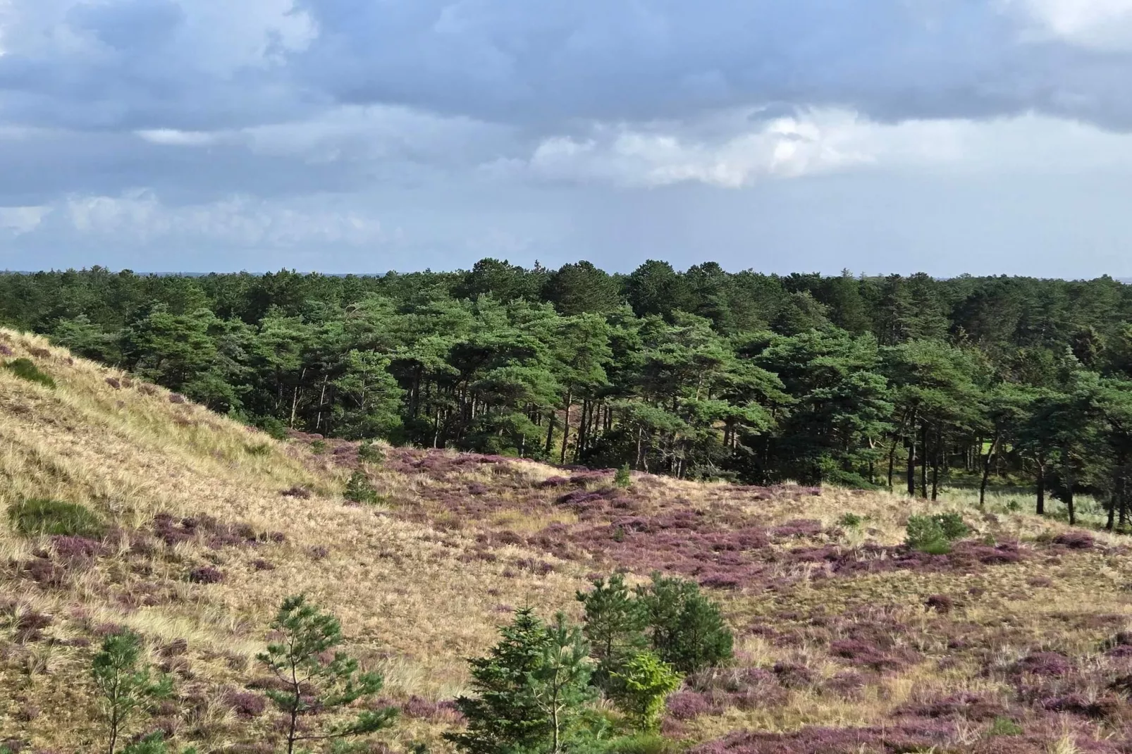 Luxe zwembad retraite in Blavand -- By Traum Ferienwohnungen-Niet-getagd