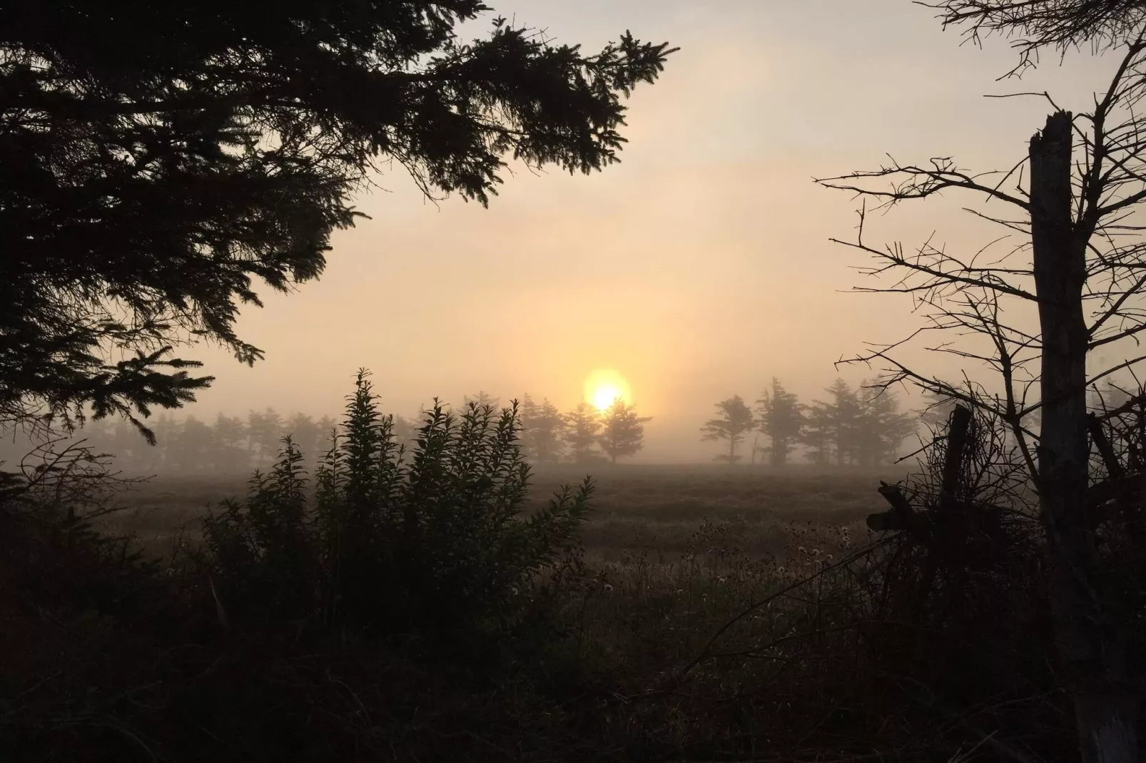 4 persoons vakantie huis in Ulfborg-By Traum-Niet-getagd