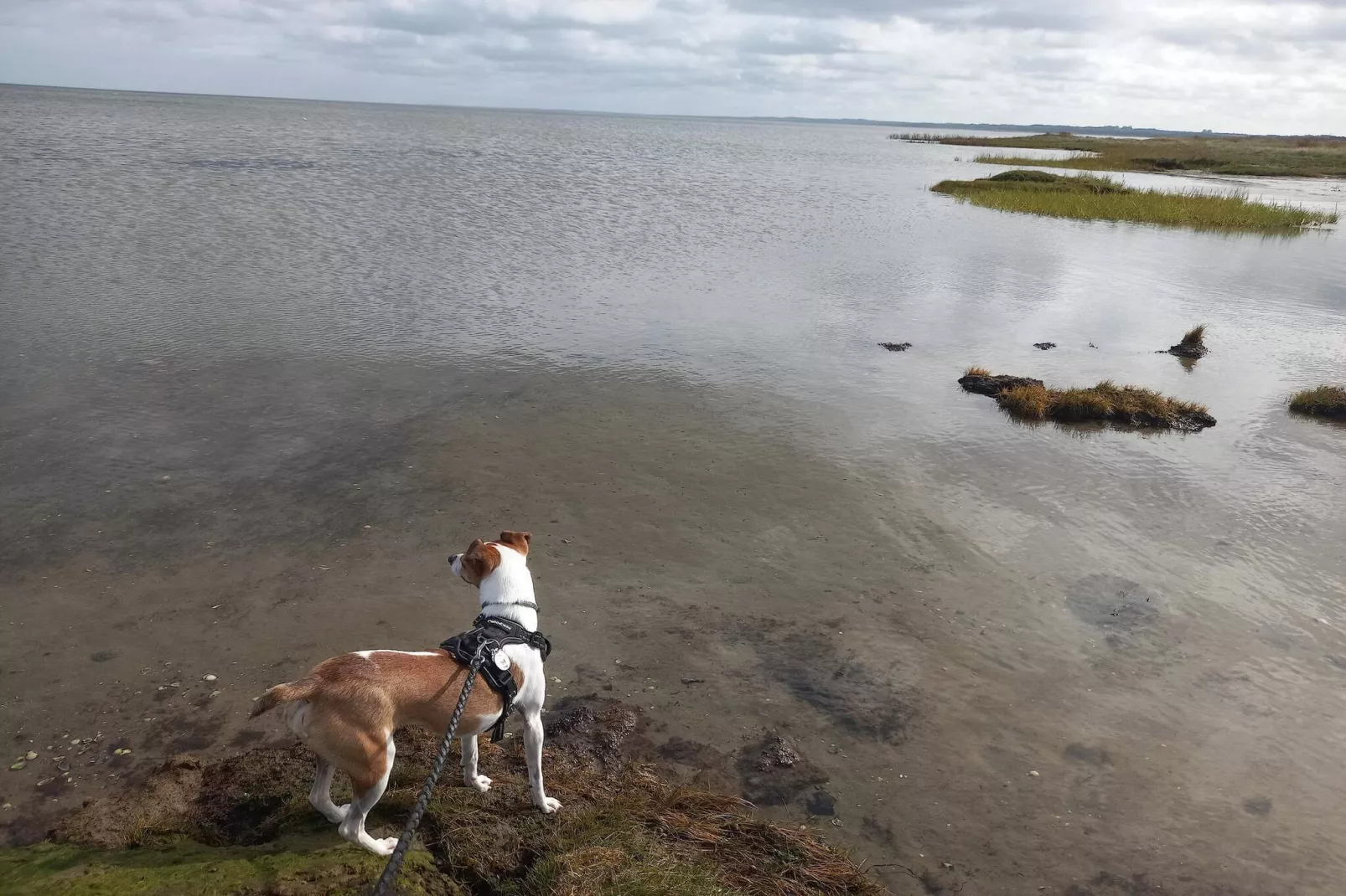 Kust ontsnapping met zwembad -- By Traum Ferienwohnungen-Waterzicht