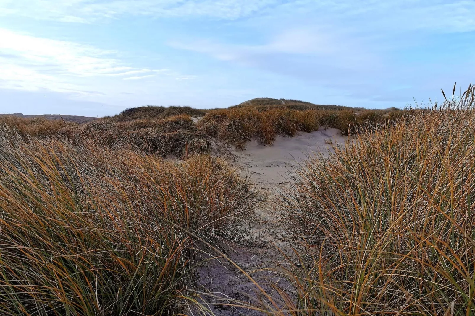 6 persoons vakantie huis in Hemmet-By Traum-Niet-getagd