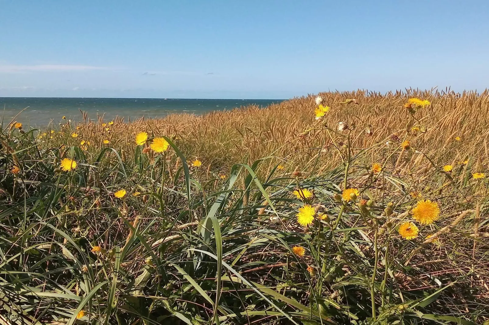Gezellig gerenoveerd huisje -- By Traum Ferienwohnungen-Niet-getagd