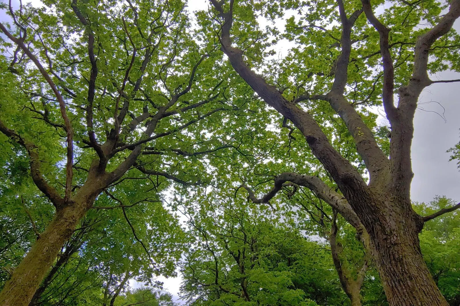 Gezinsplezier met binnenzwembad -- By Traum Ferienwohnungen-Niet-getagd