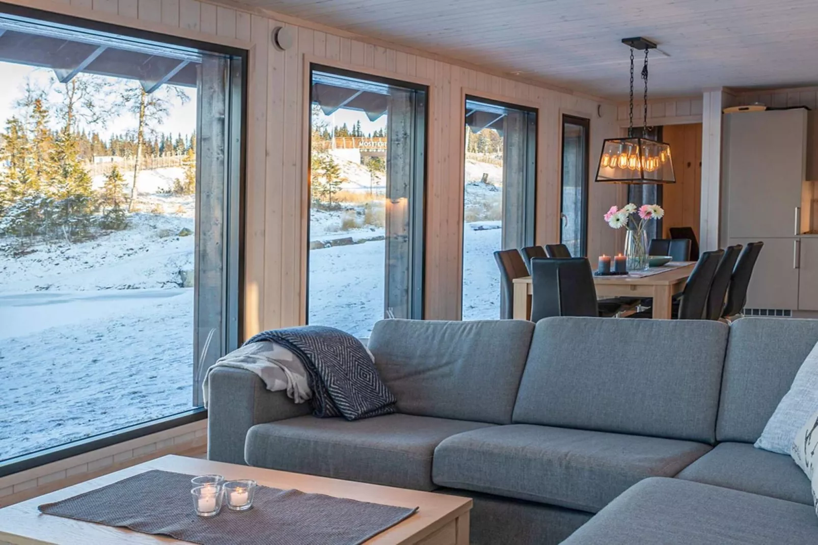 HAFJELL 93230-Binnen