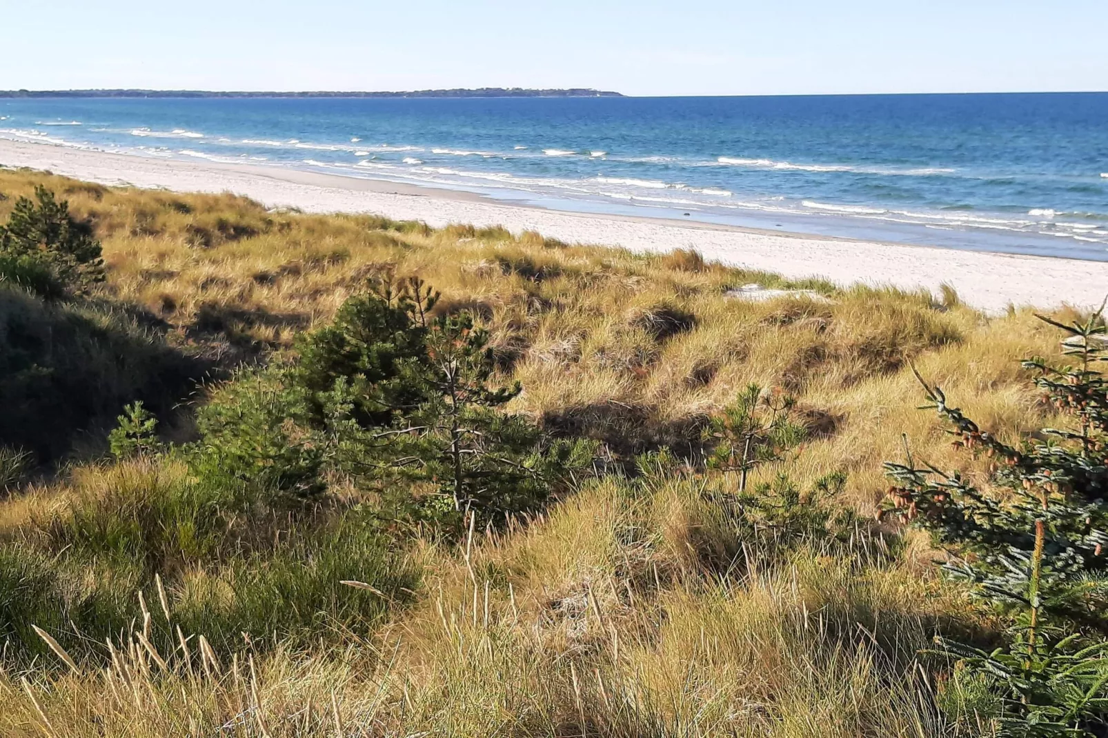 8 persoons vakantie huis in Rørvig-By Traum