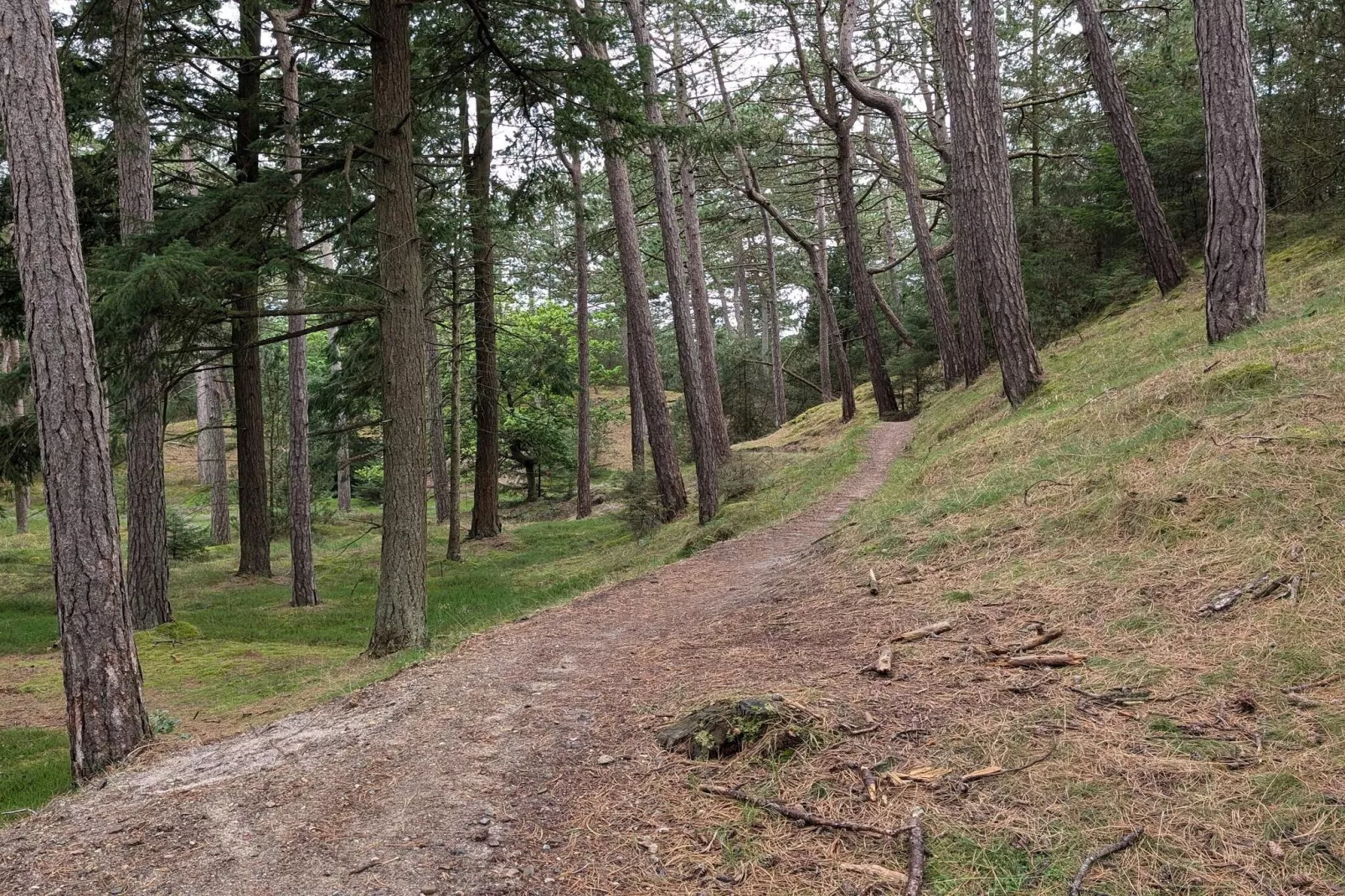 4 persoons vakantie huis in Oksbøl-By Traum-Niet-getagd