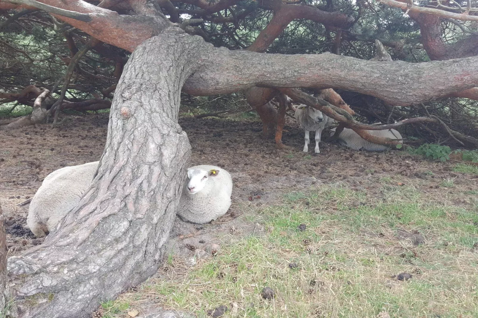Luxe strandverblijf -- By Traum Ferienwohnungen-Uitzicht