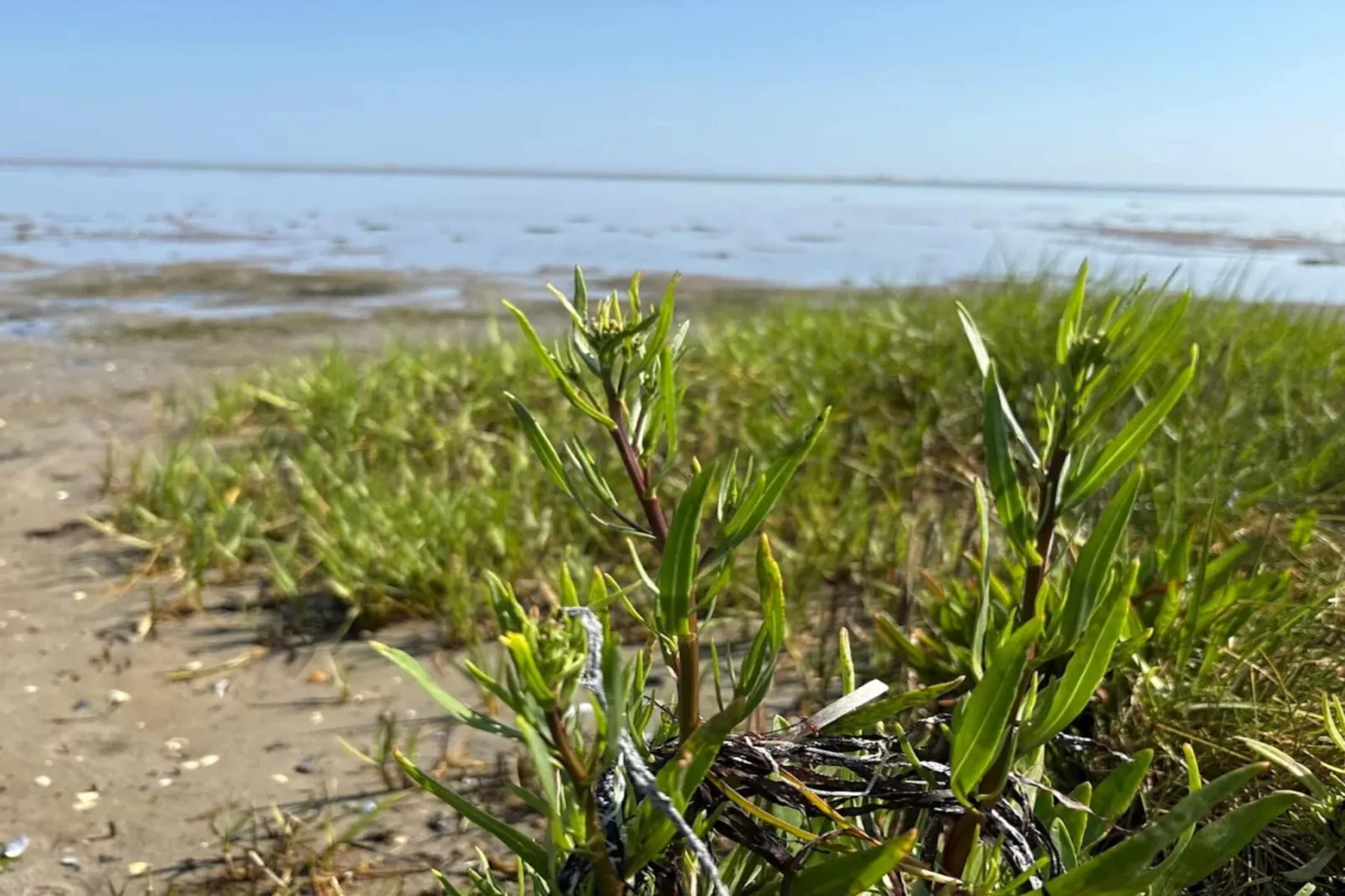11 persoons vakantie huis in Ørsted-By Traum - Waterzicht