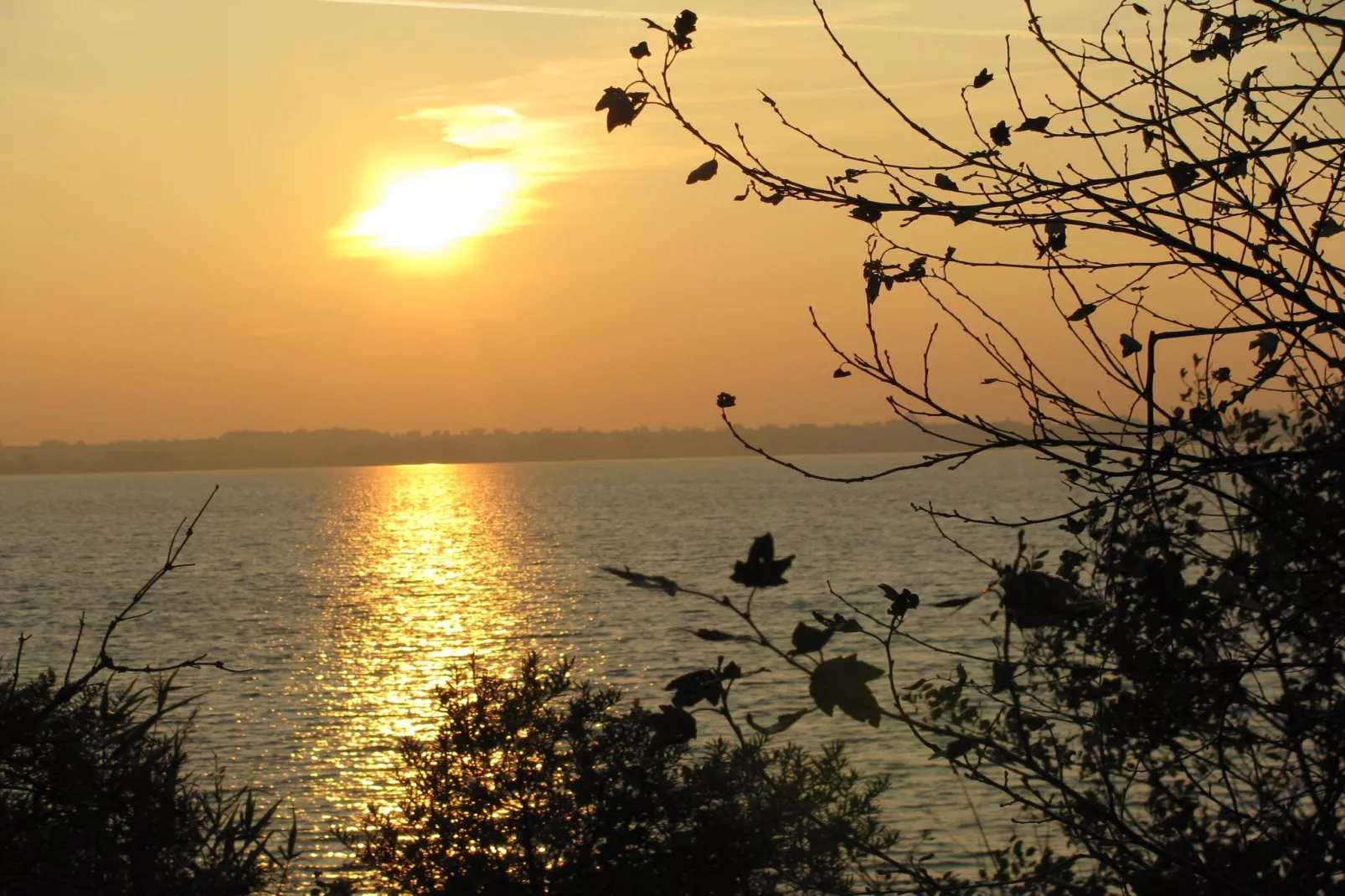 Strandhaus an der Wiek in Strandlage-Gebieden zomer 1km