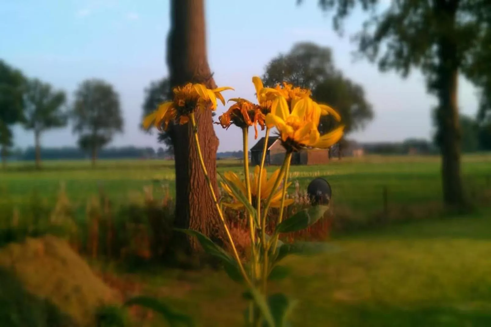 Bospark Markelo 1-Gebieden zomer 20km