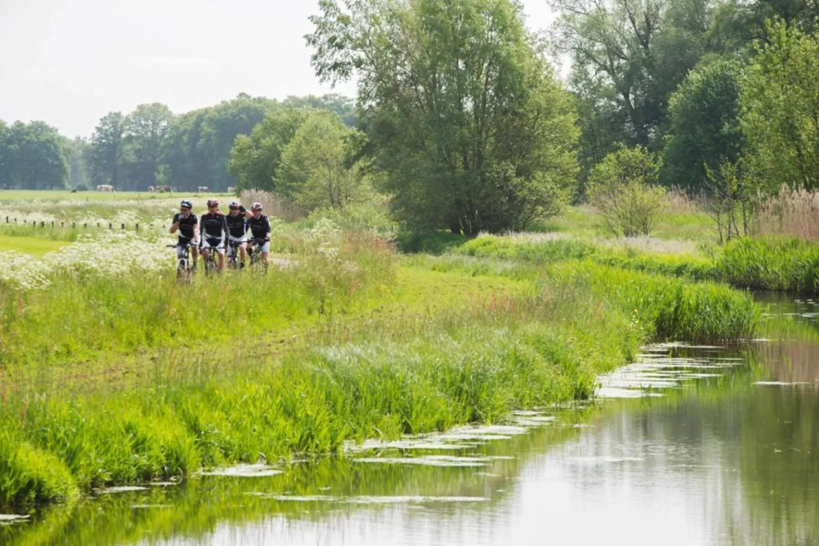 Vakantiepark De Lochemse Berg 1-Gebieden zomer 20km