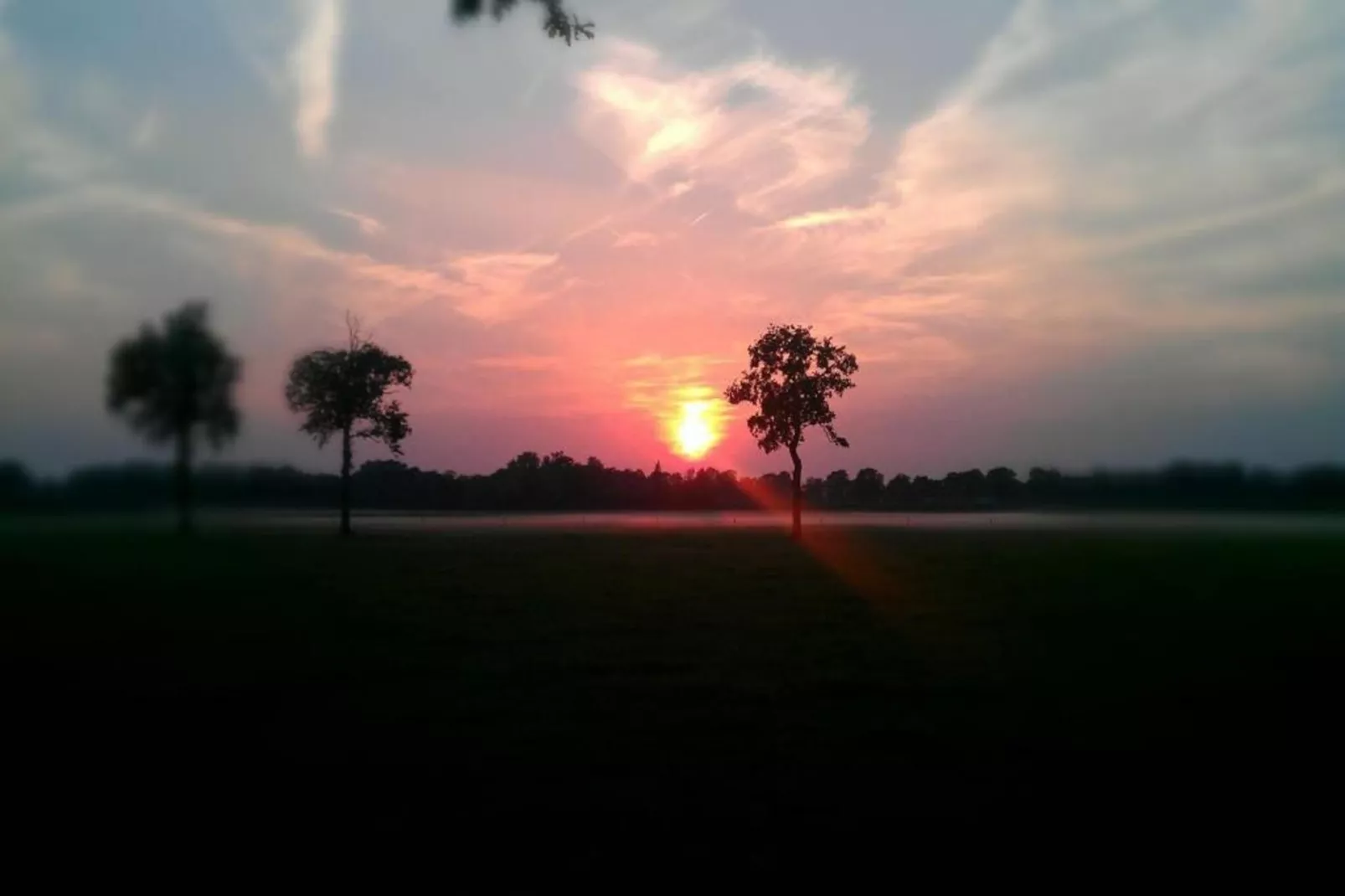 Bospark Markelo 2-Gebieden zomer 20km
