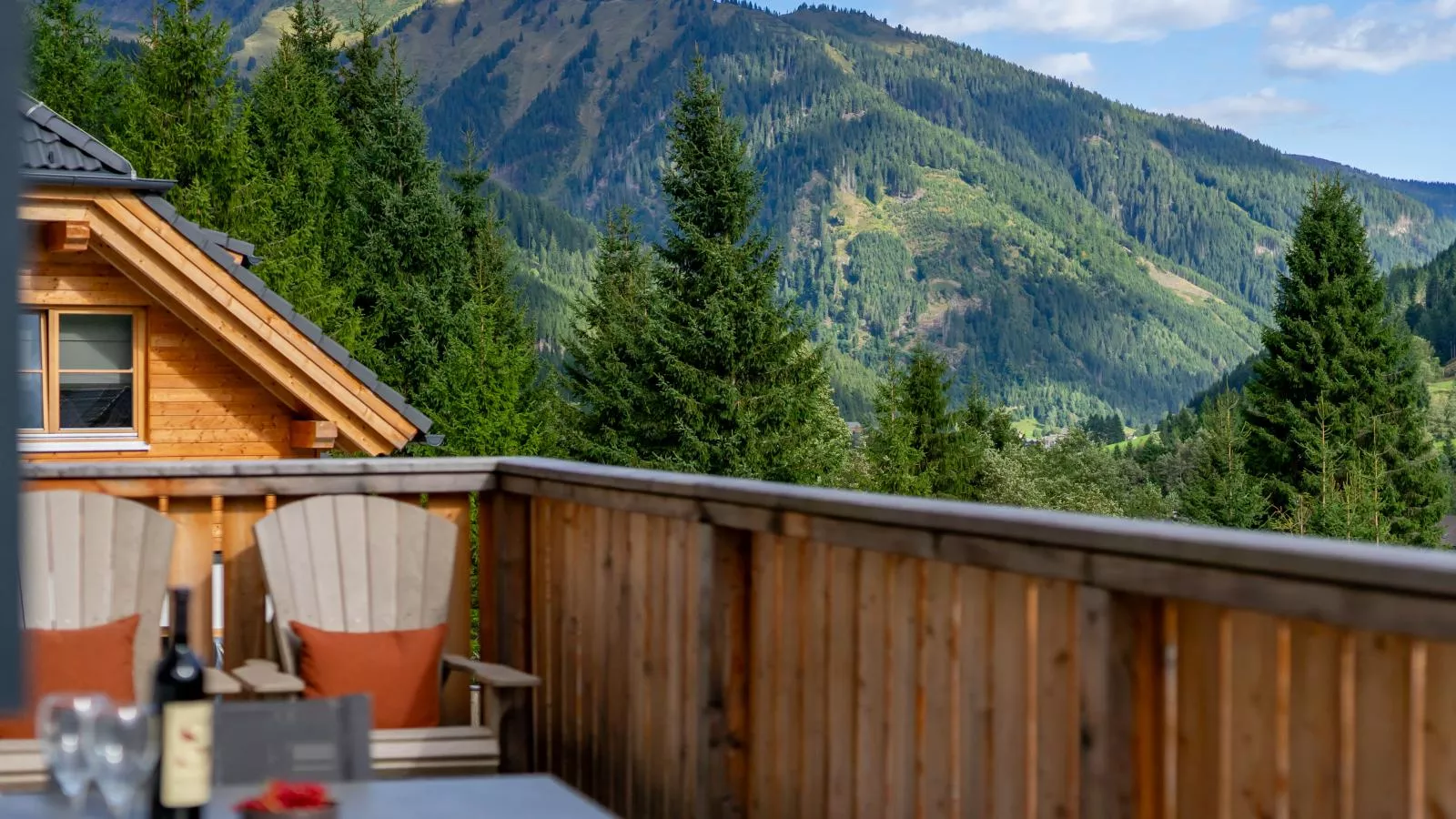 Edelweiss Lodge-Uitzicht zomer