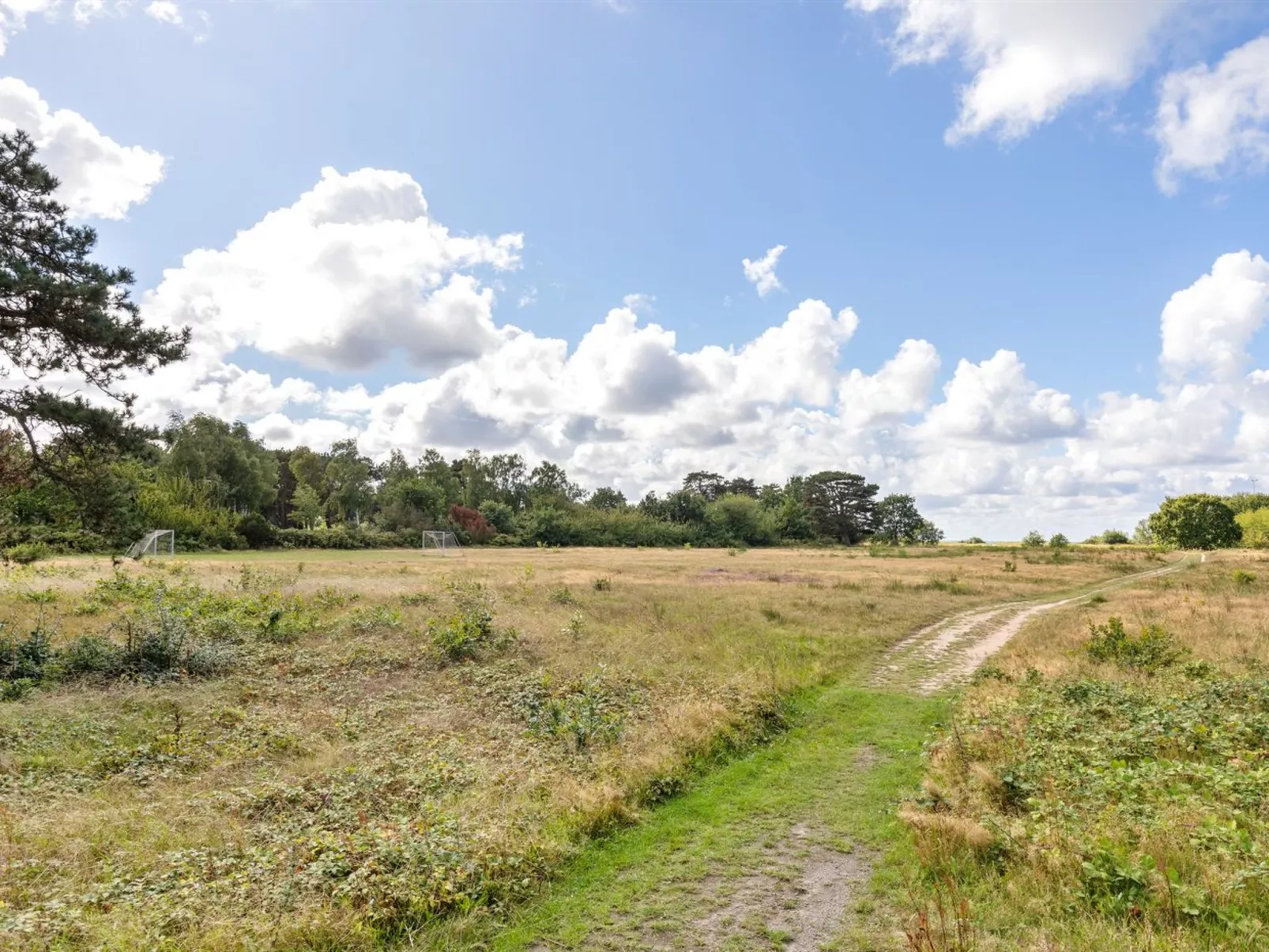 "Detlef" - 200m from the sea-Buiten