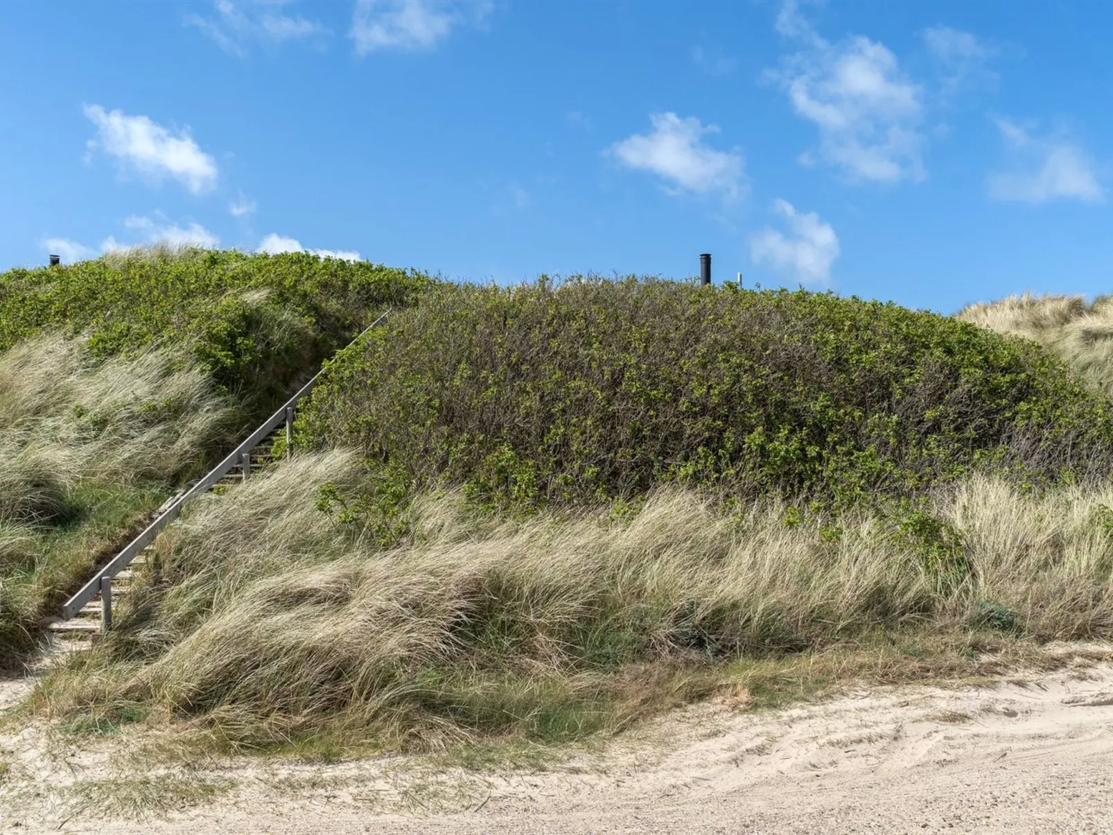 "Abbie" - 10m from the sea-Buiten