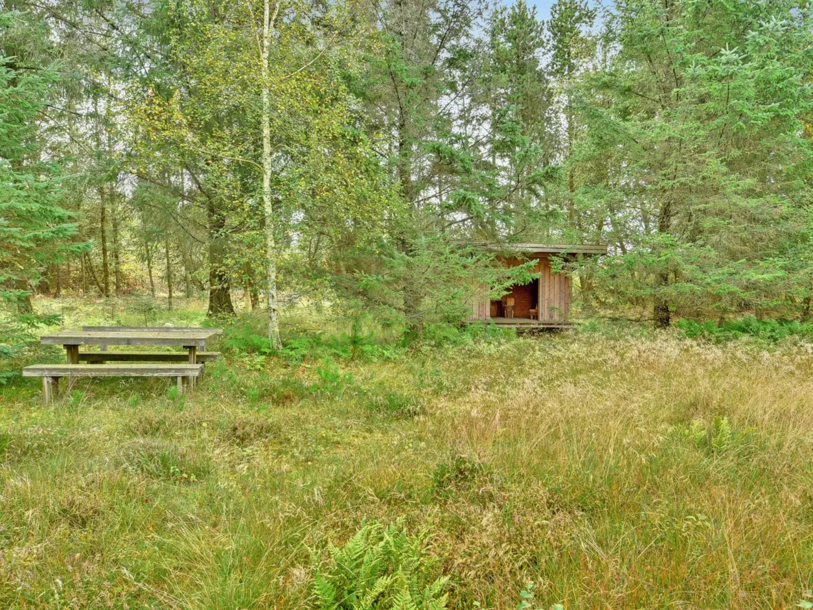 "Editt" - 2km from the sea-Buiten