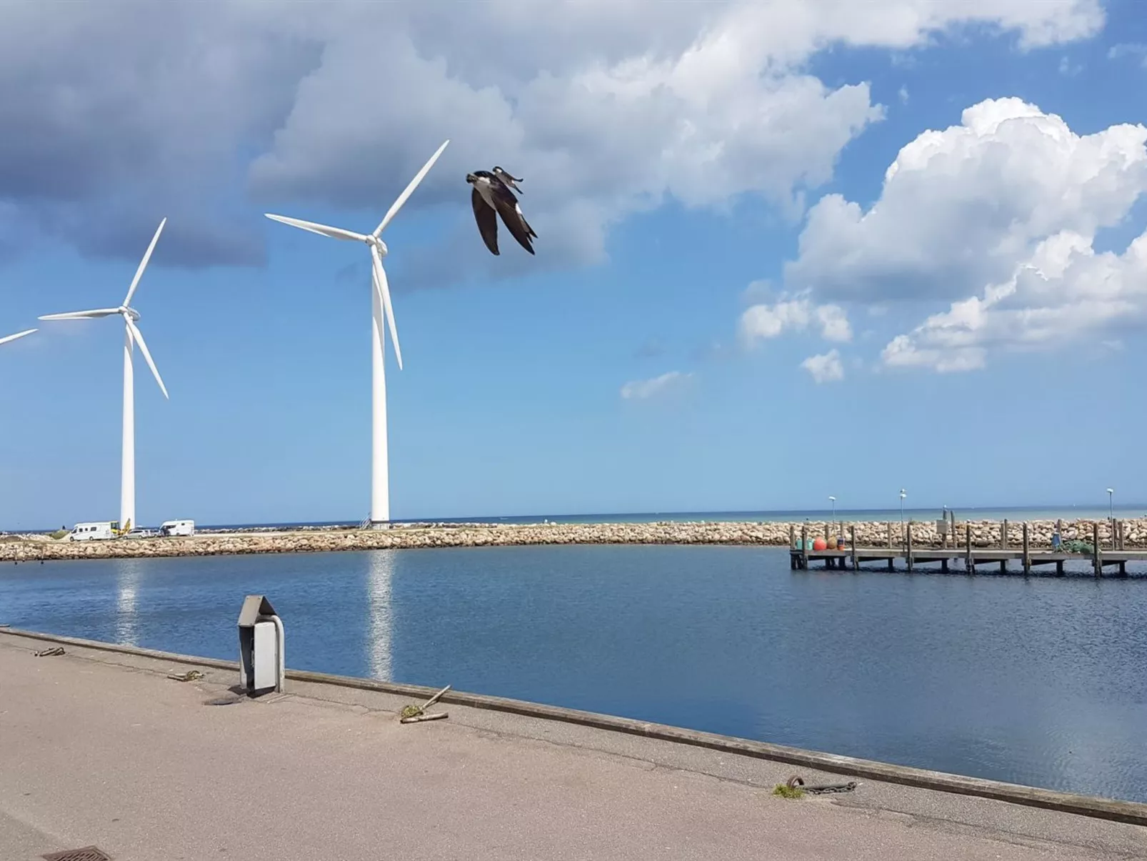 "Golubinka" - 500m from the sea-Buiten