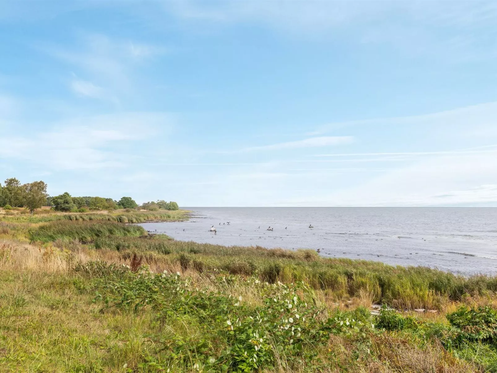 "Julietta" - 50m from the sea-Buiten