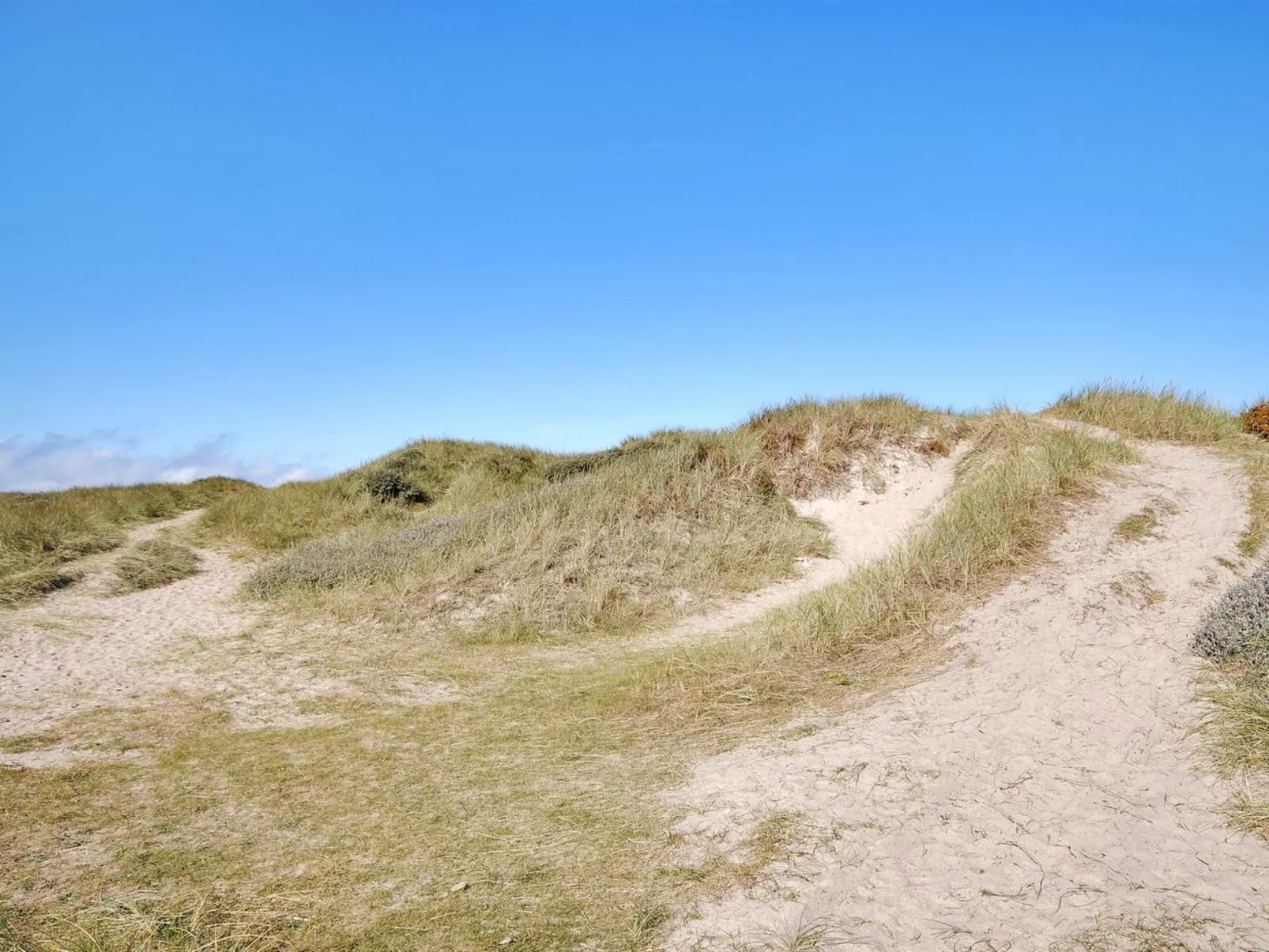 "Neven" - 900m from the sea-Buiten