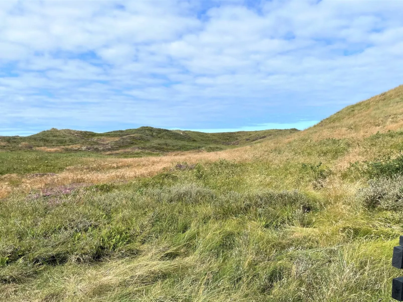 "Trugot" - 450m to the fjord