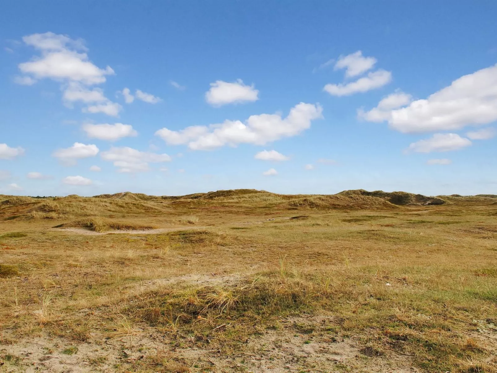 "Katha" -  from the sea-Buiten