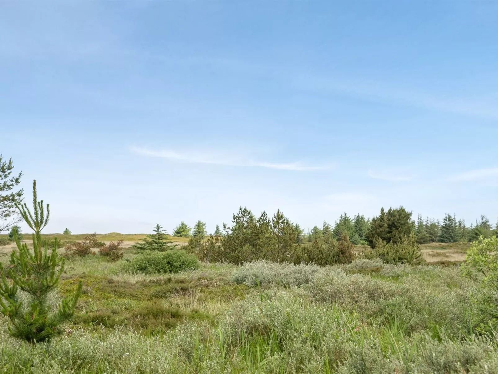 "Doria" - 2km from the sea-Buiten