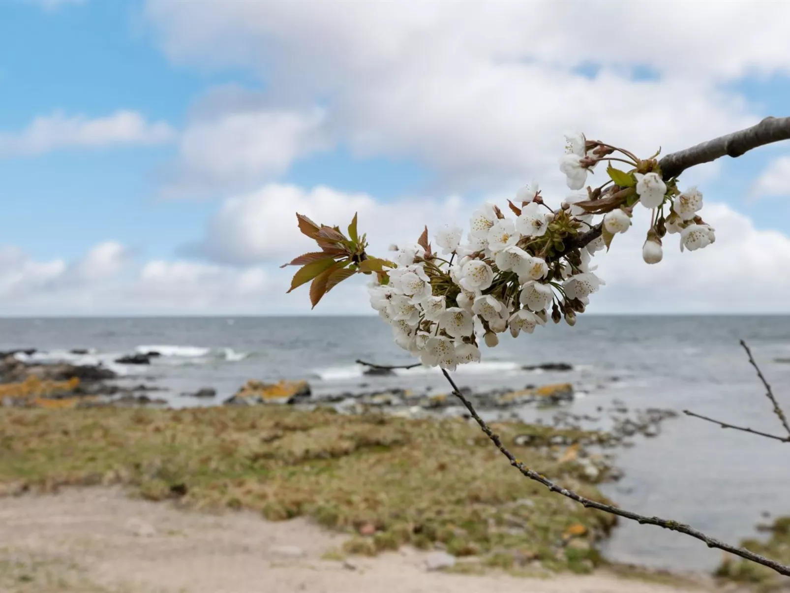 "Ensio" - 150m from the sea-Buiten