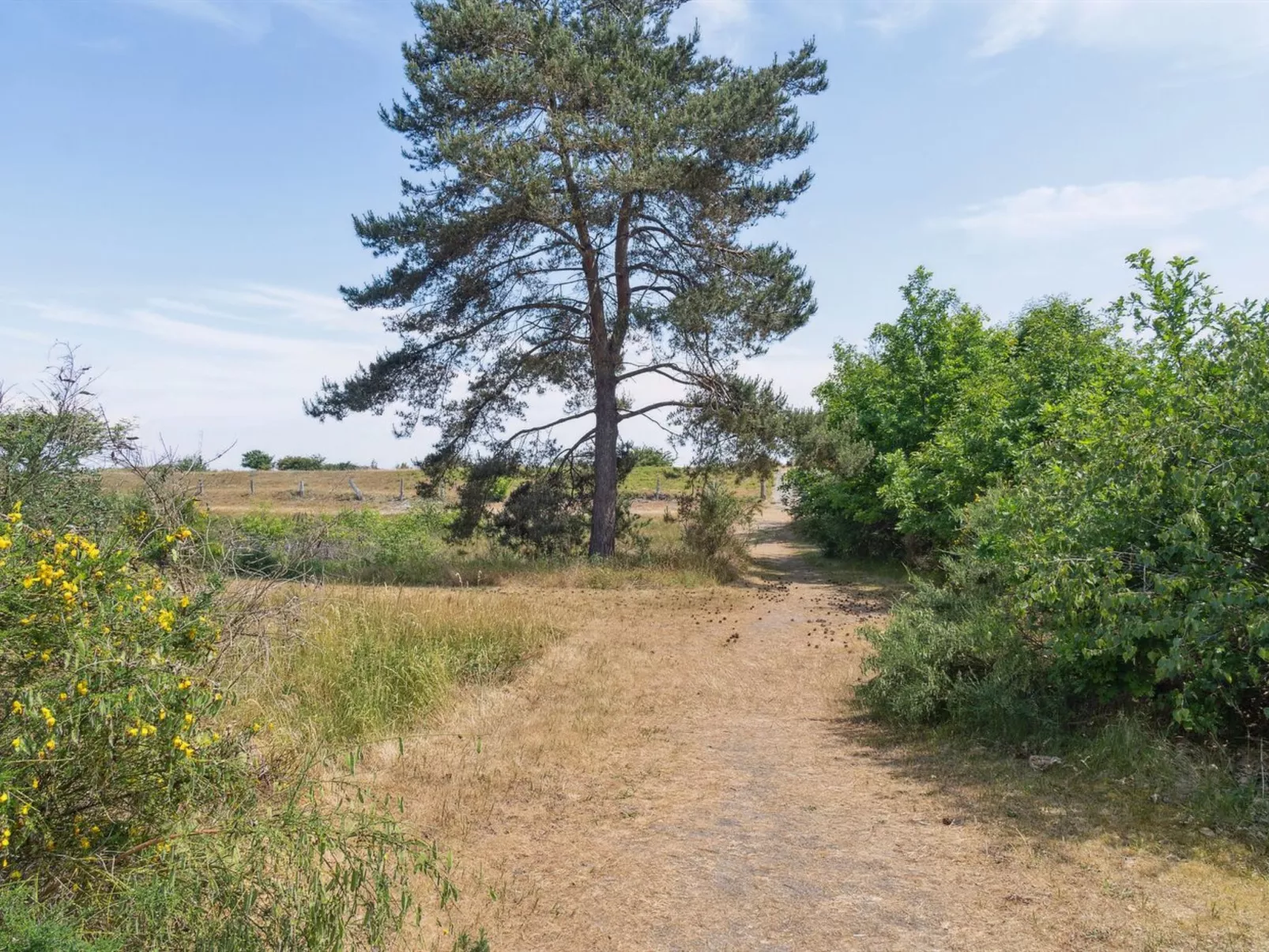 "Auke" - 100m from the sea-Buiten