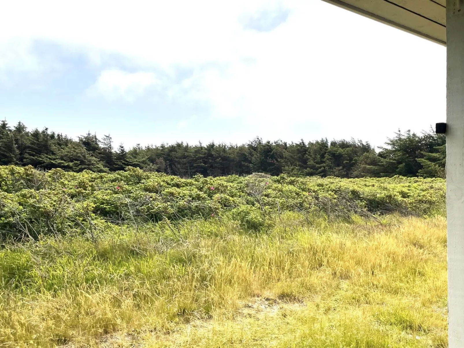 "Carelle" - 300m from the sea-Buiten