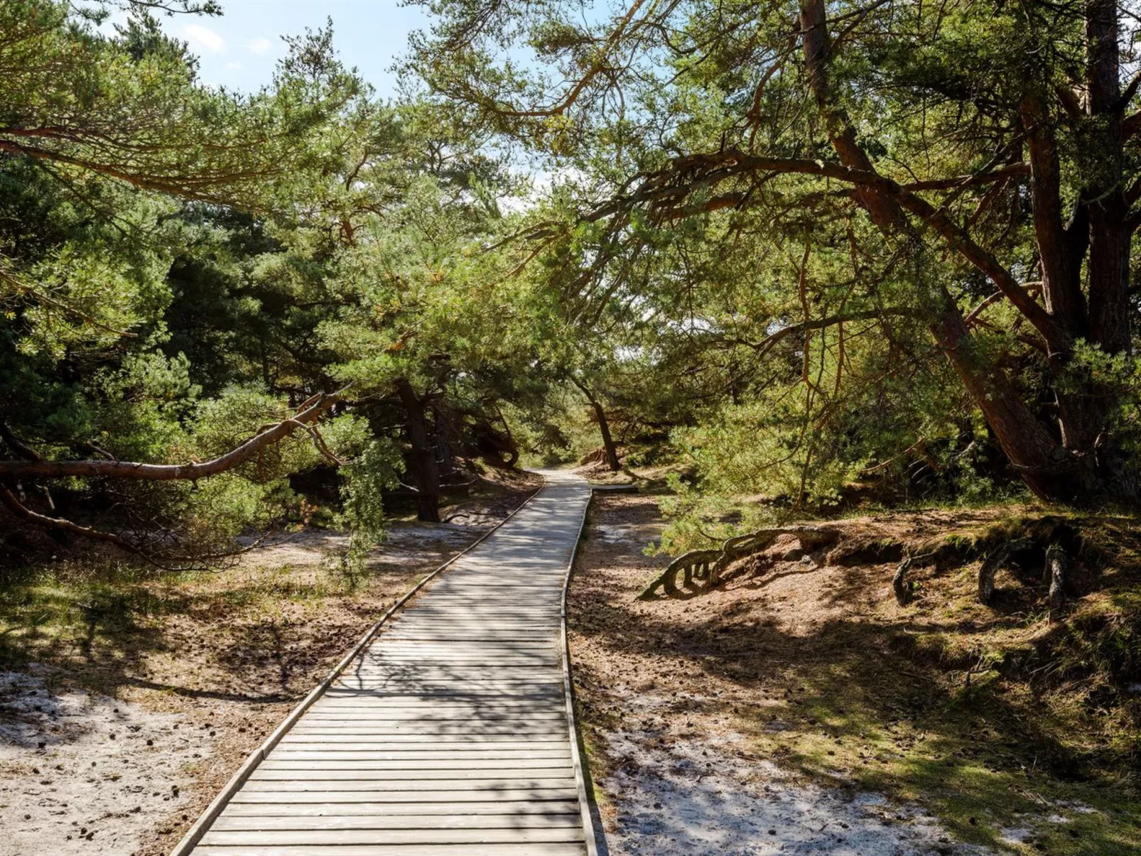 "Elza" - 800m from the sea-Buiten