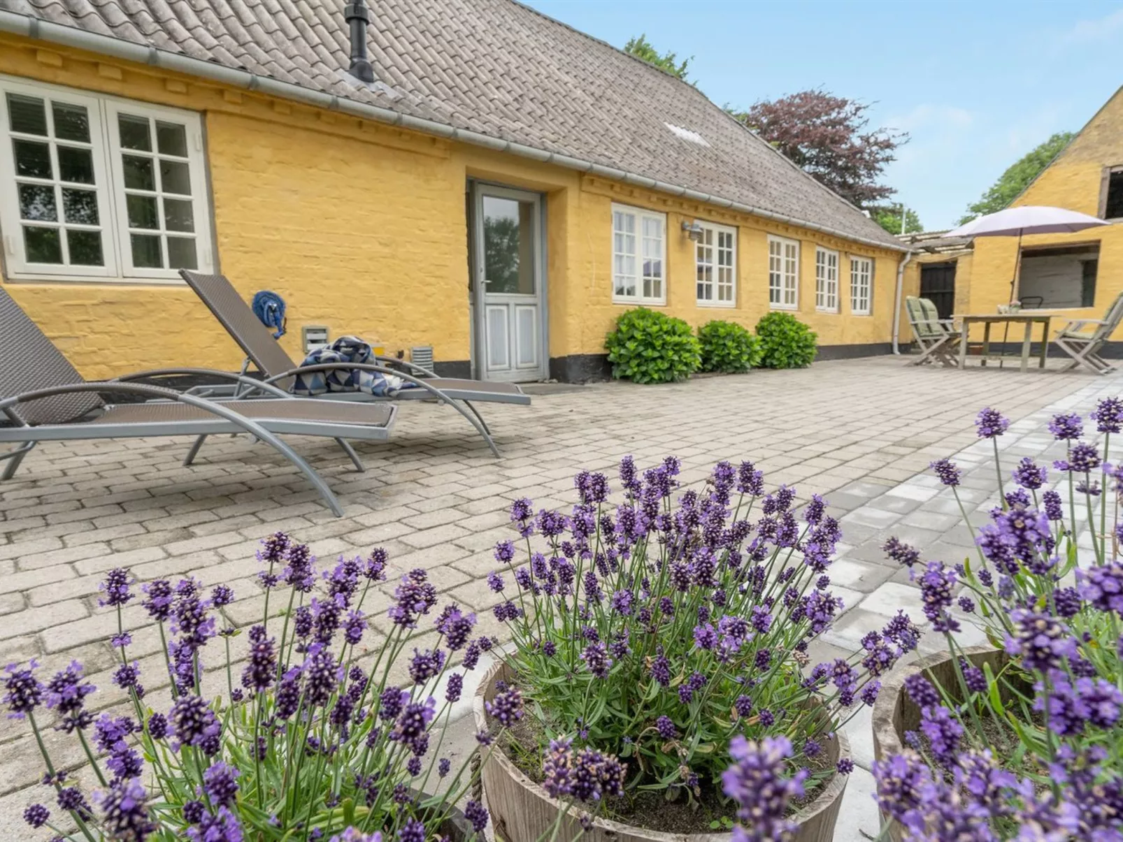 "Ilsa" - 9.8km from the sea-Buiten