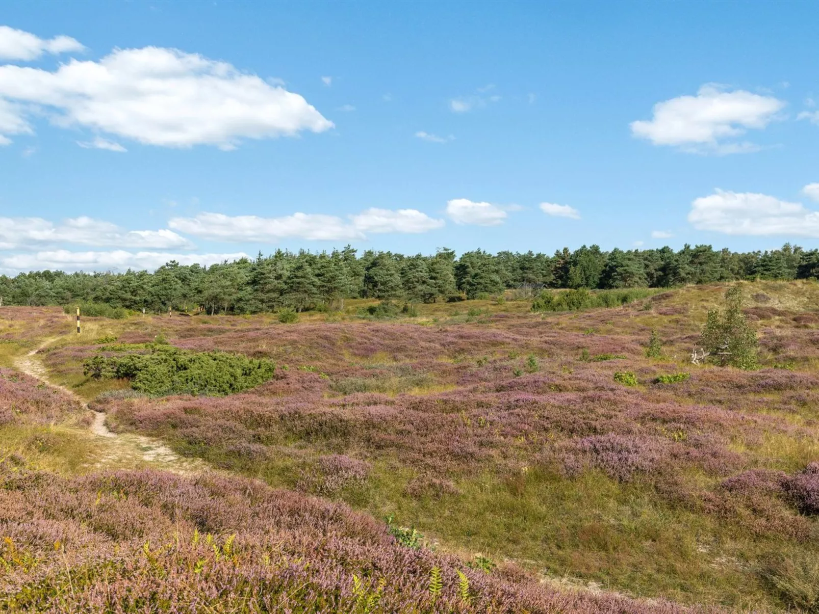 "Anarosa" - 200m from the sea-Buiten