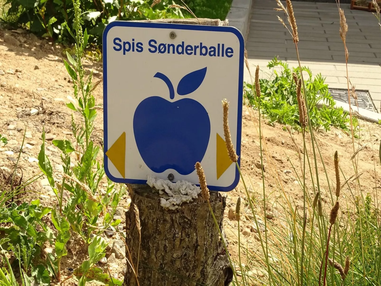 "Veselin" - 100m from the sea-Buiten