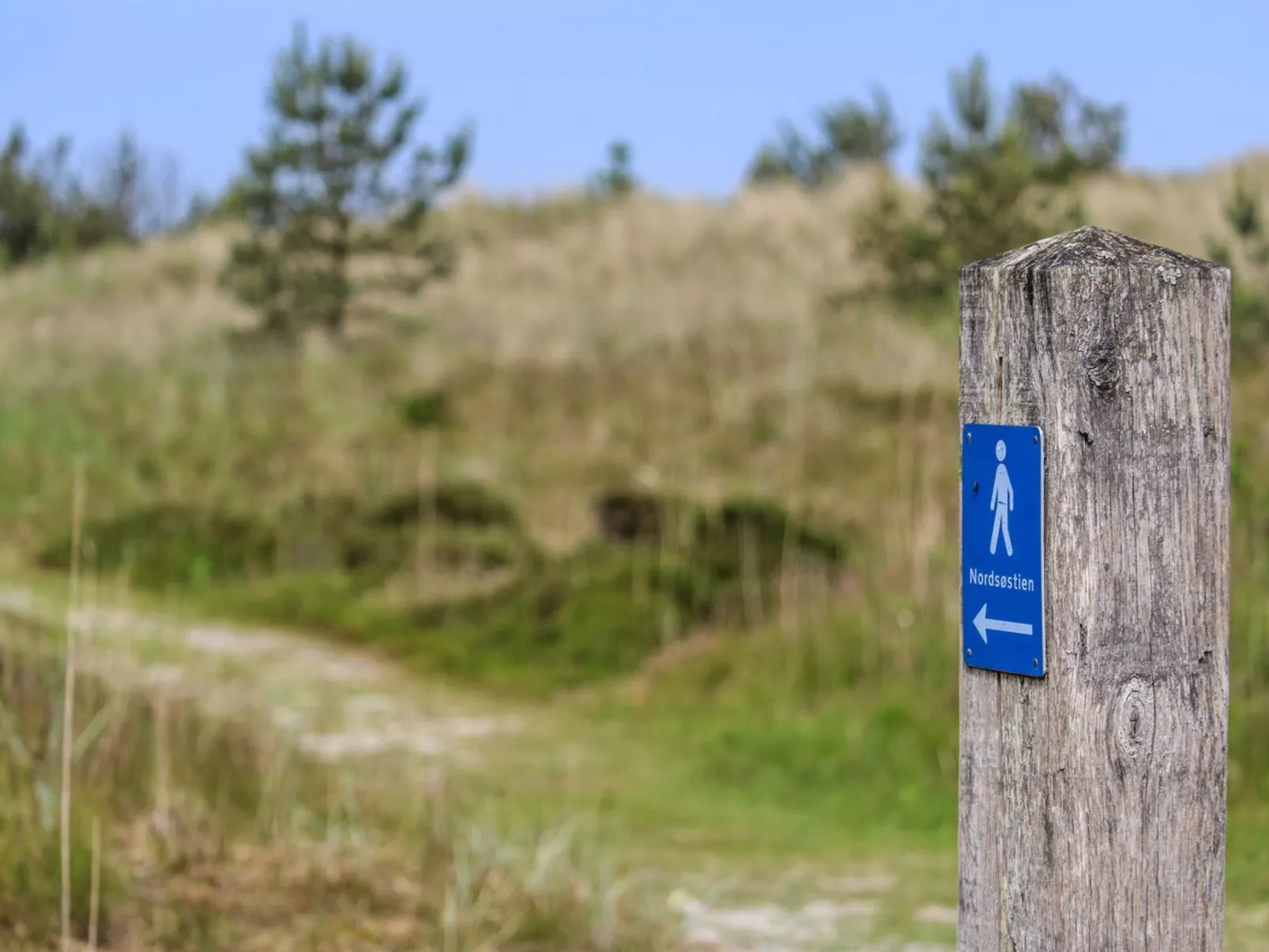 "Ingalise" - 500m from the sea-Buiten