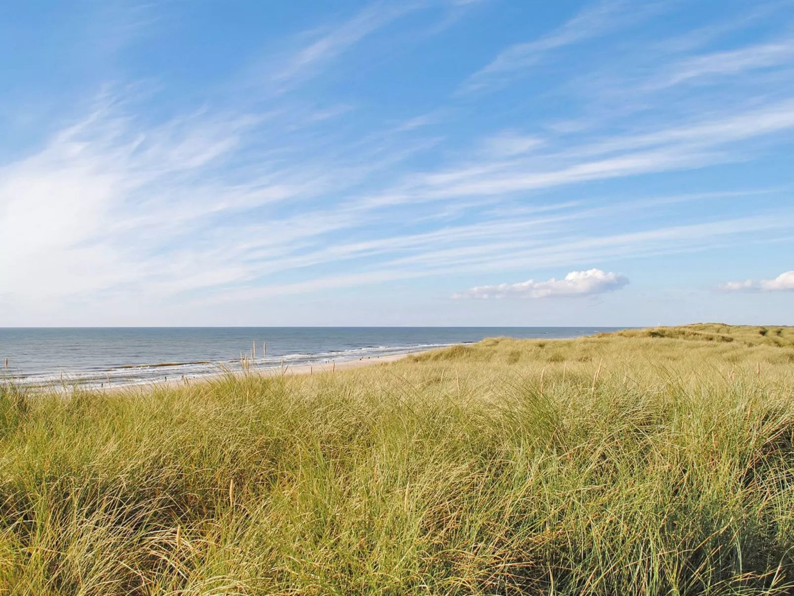 "Mogens" -  from the sea-Buiten