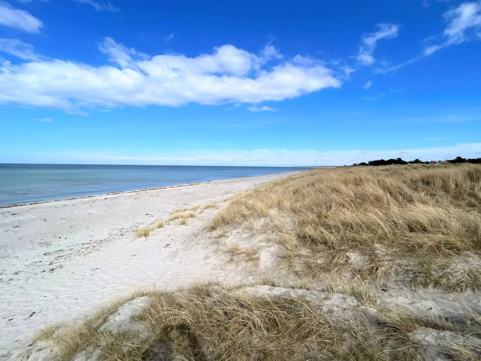 "Miljanka" - 175m from the sea-Buiten