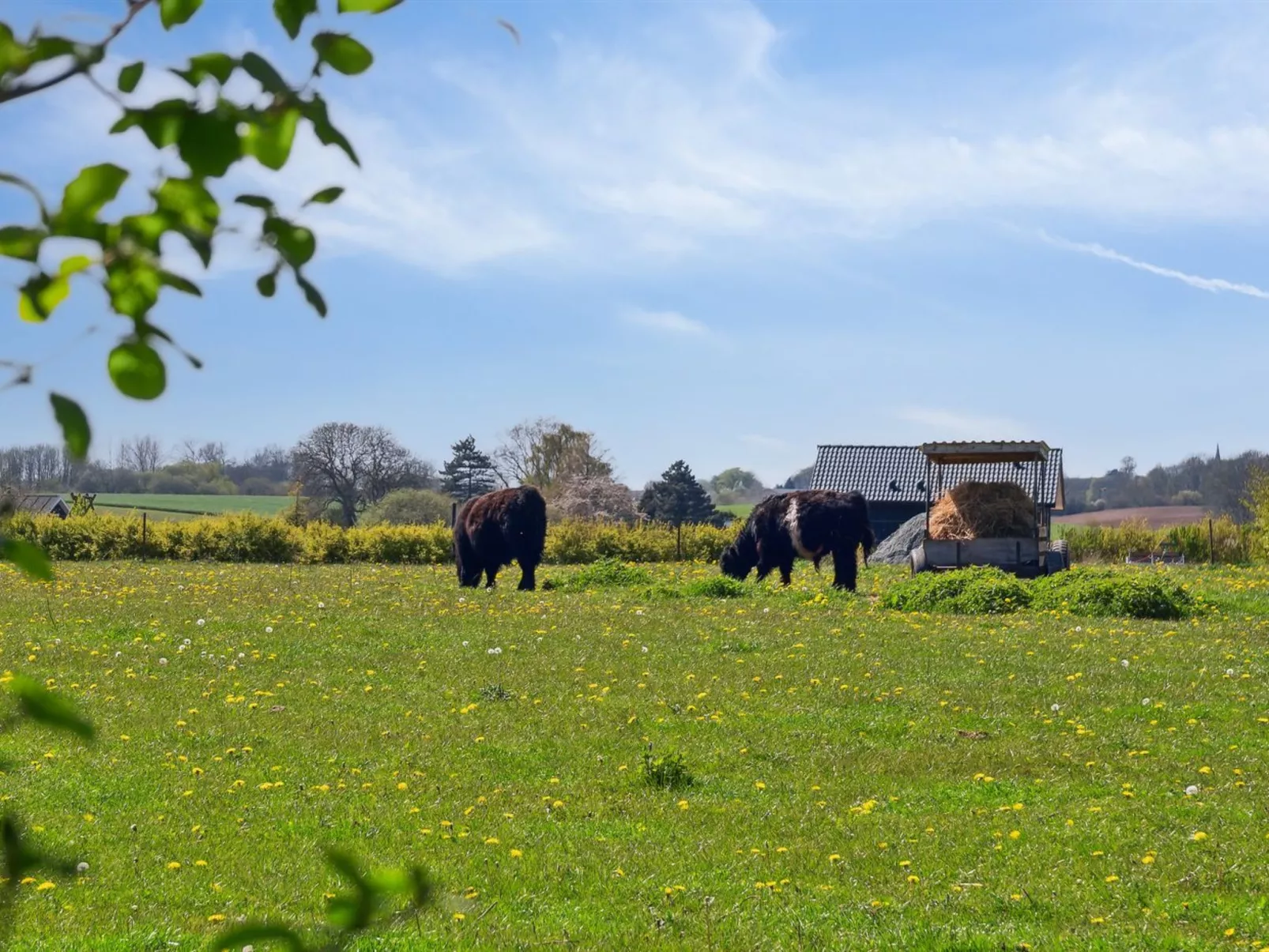 "Bjarke" - 200m from the sea-Buiten