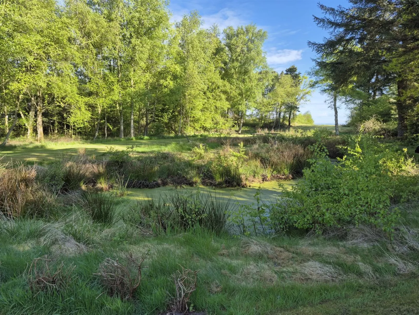 "Aswarth" - 50m to the fjord-Buiten