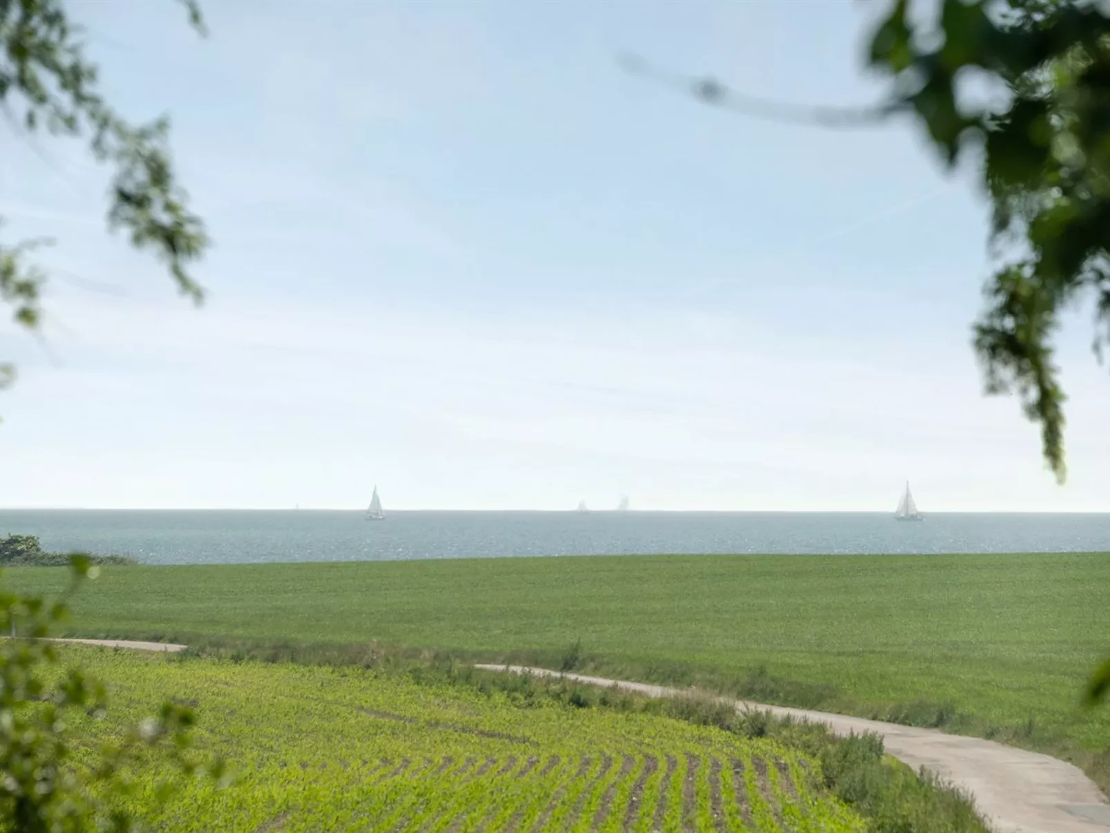 "Ilja" - 400m from the sea-Buiten