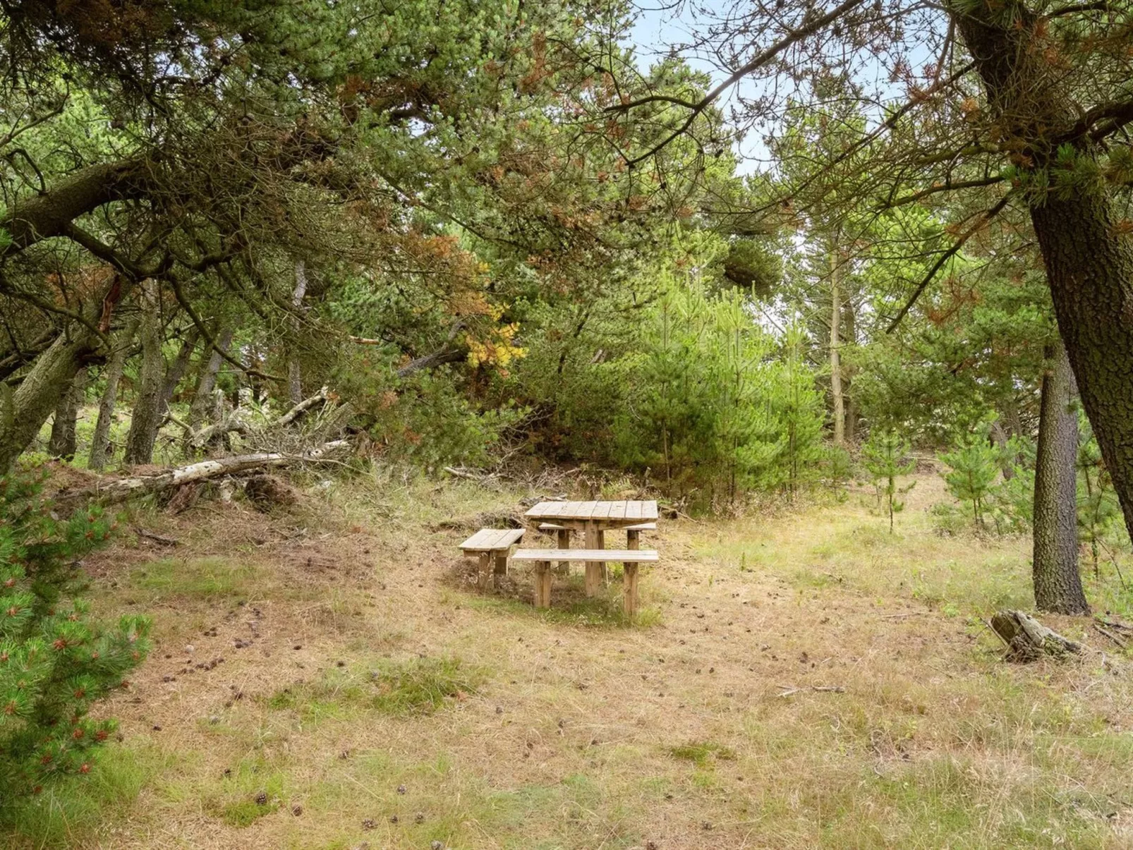 "Atreju" - 2km from the sea-Buiten