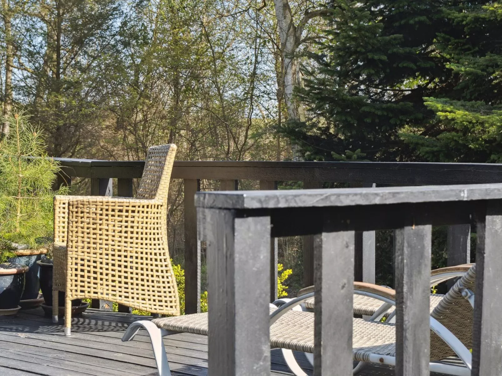 "Arild" - 10m from the sea-Buiten