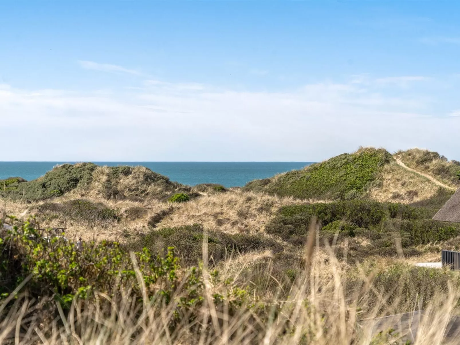 "Felis" - 200m from the sea-Buiten