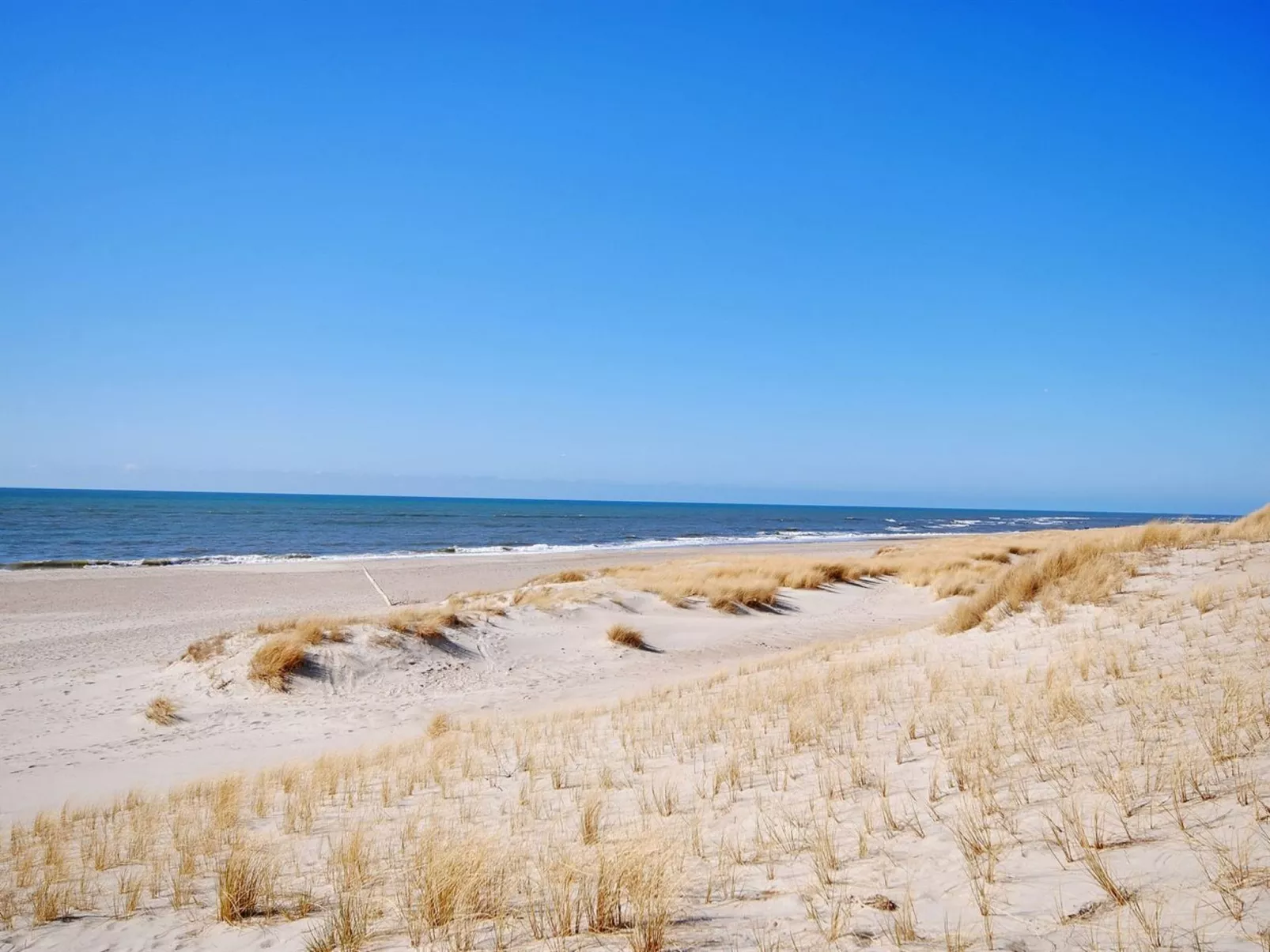 "Hildegart" -  from the sea-Buiten