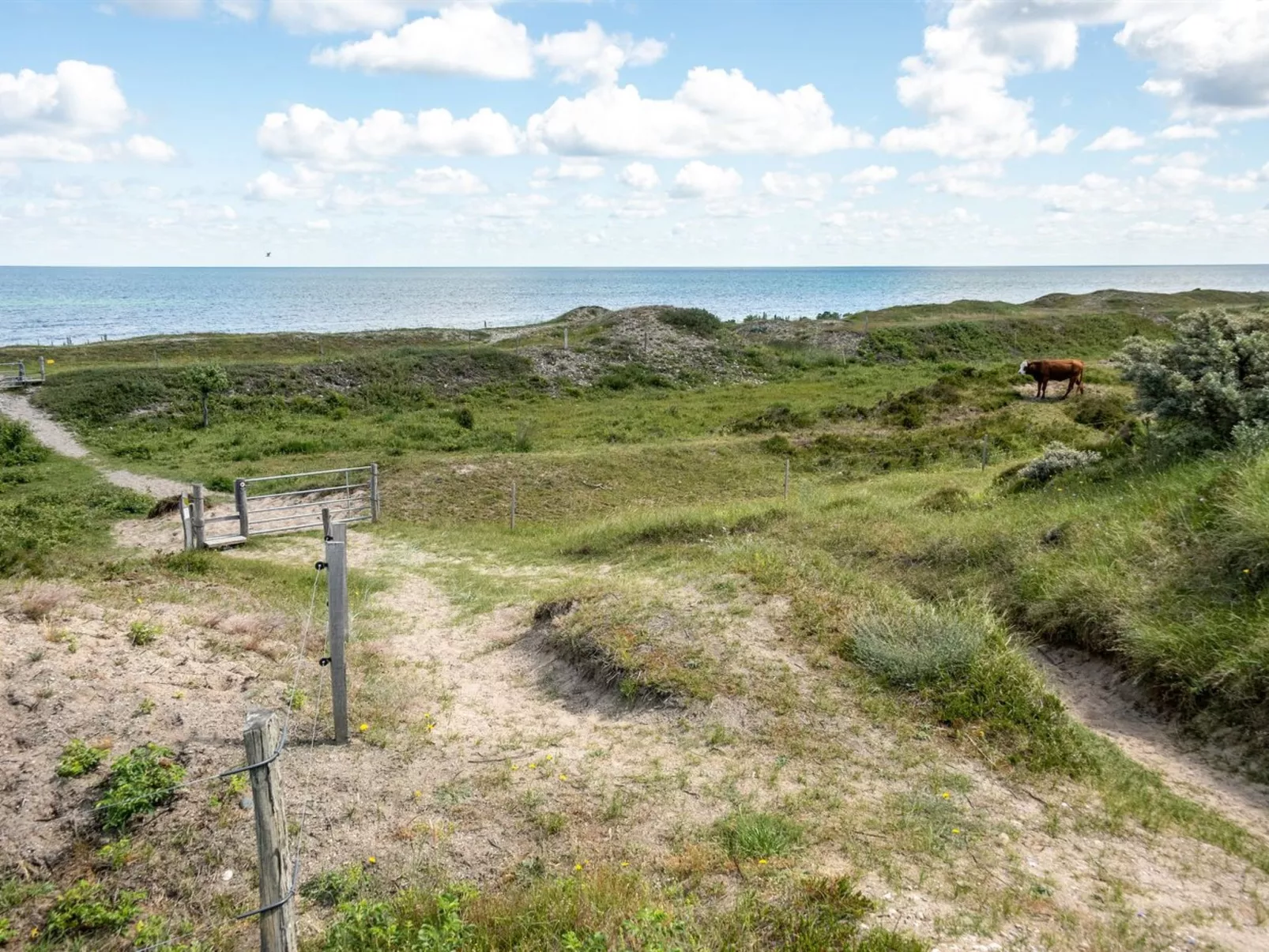 "Lisbeth" - 400m from the sea-Buiten