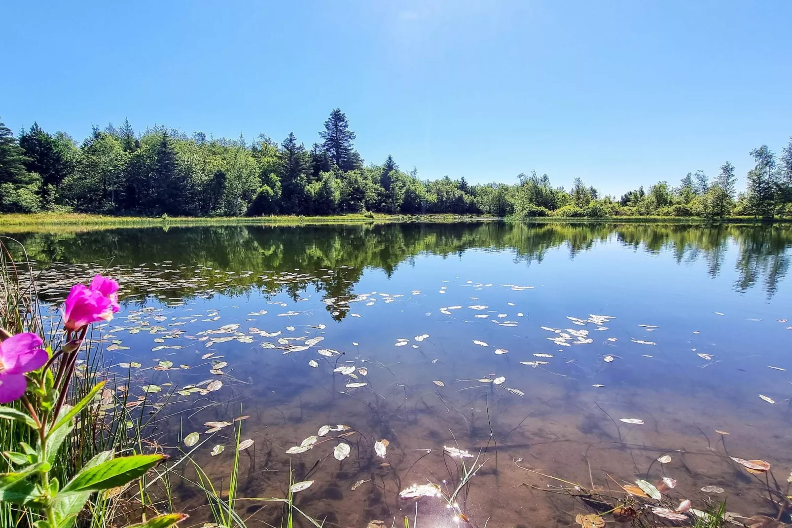 6 persoons vakantie huis in Vemb-By Traum-Waterzicht