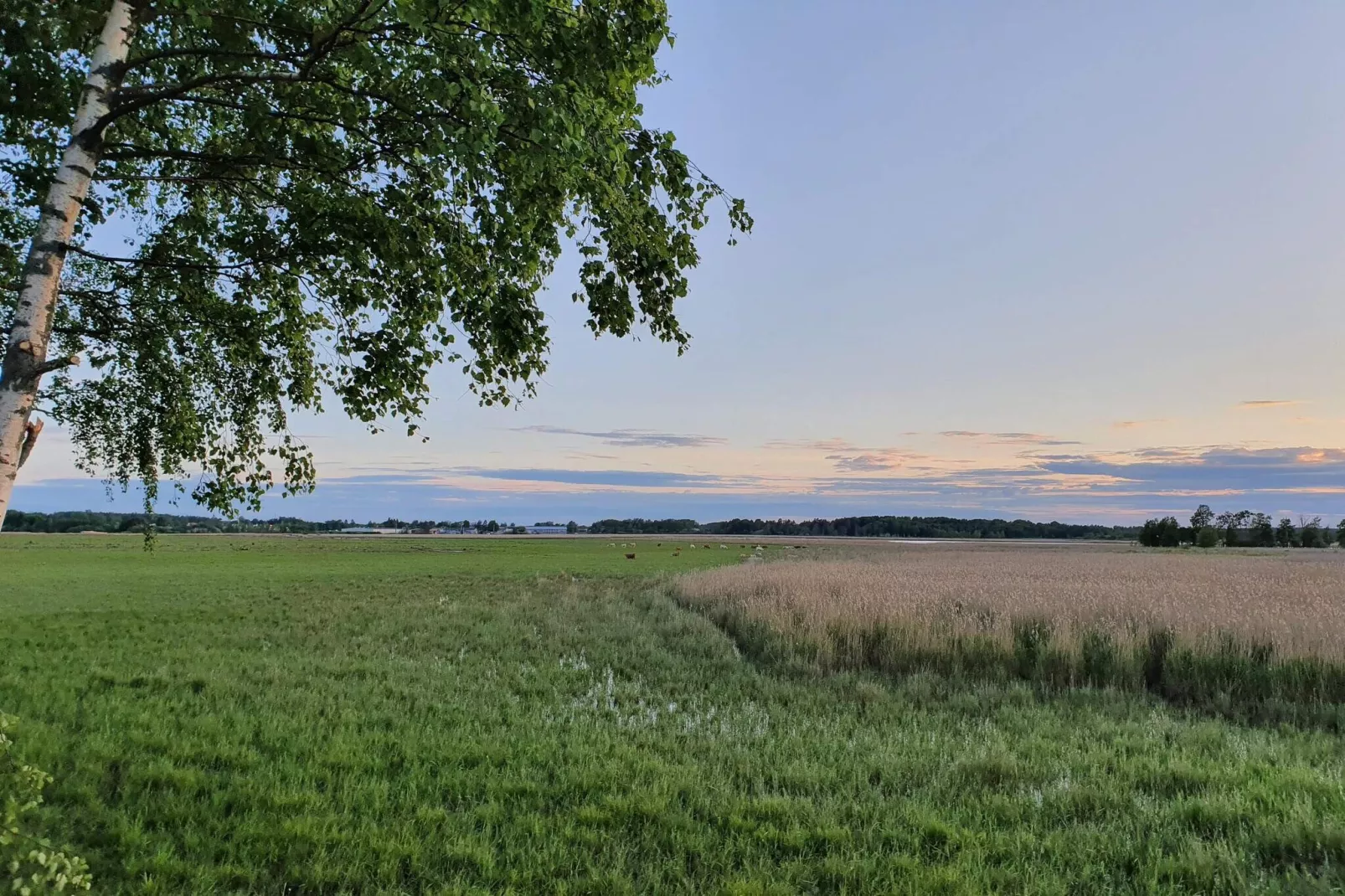 6 persoons vakantie huis in HAMMARÖ-By Traum-Niet-getagd