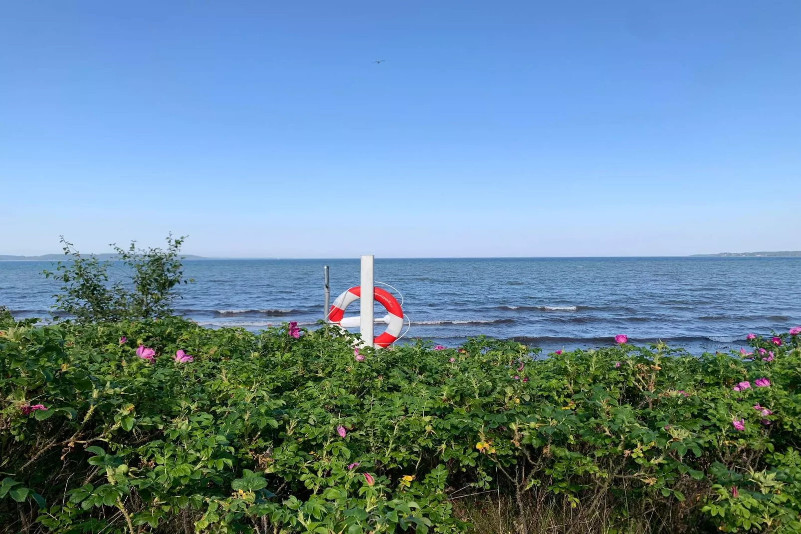 Rustige retraite vlakbij het strand-Waterzicht