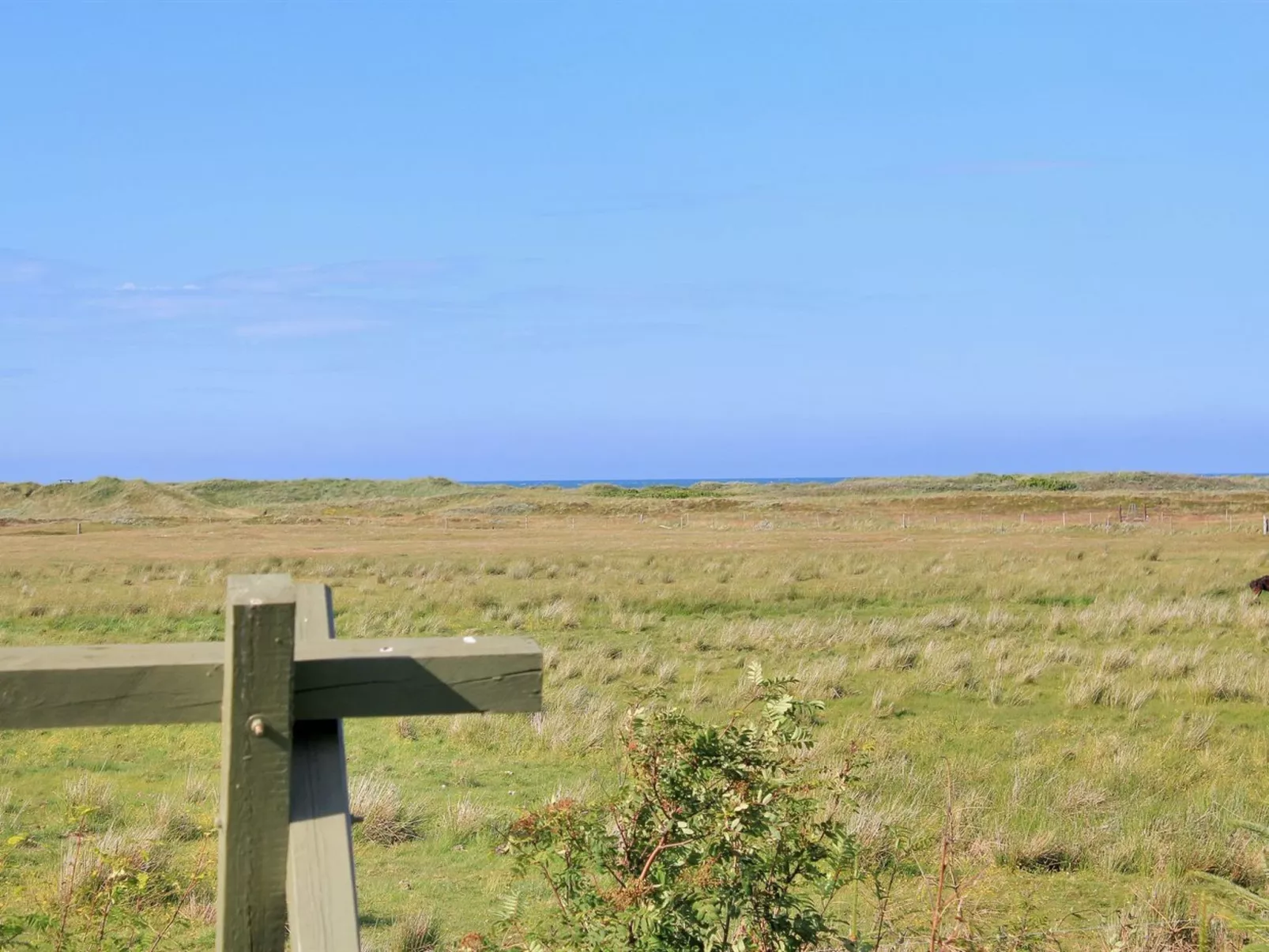 "Annick" - 300m from the sea-Buiten