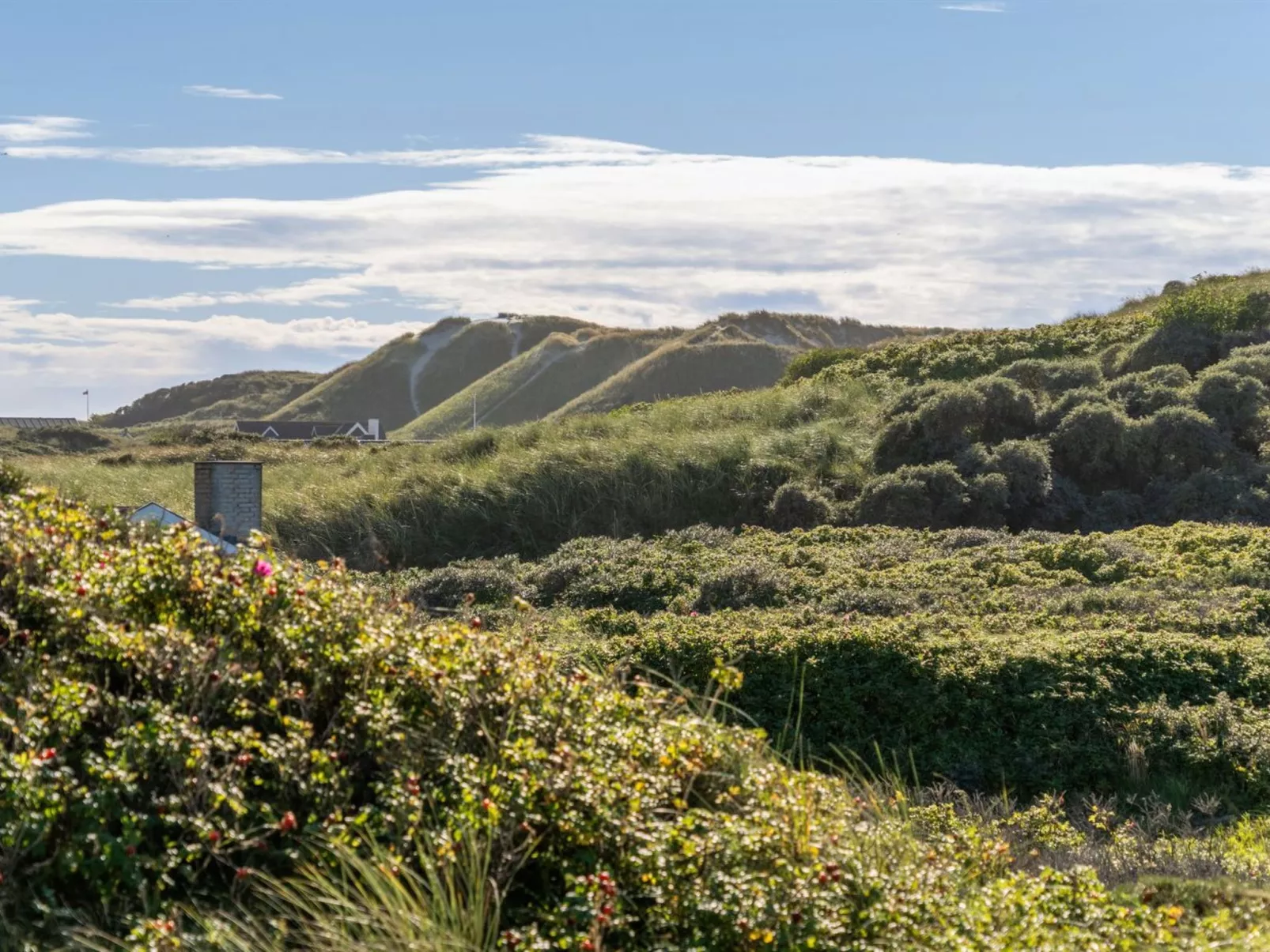 "Rauli" - 50m from the sea-Buiten