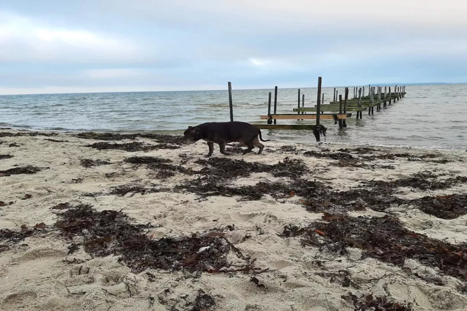 4 persoons vakantie huis in Hejls-By Traum-Waterzicht